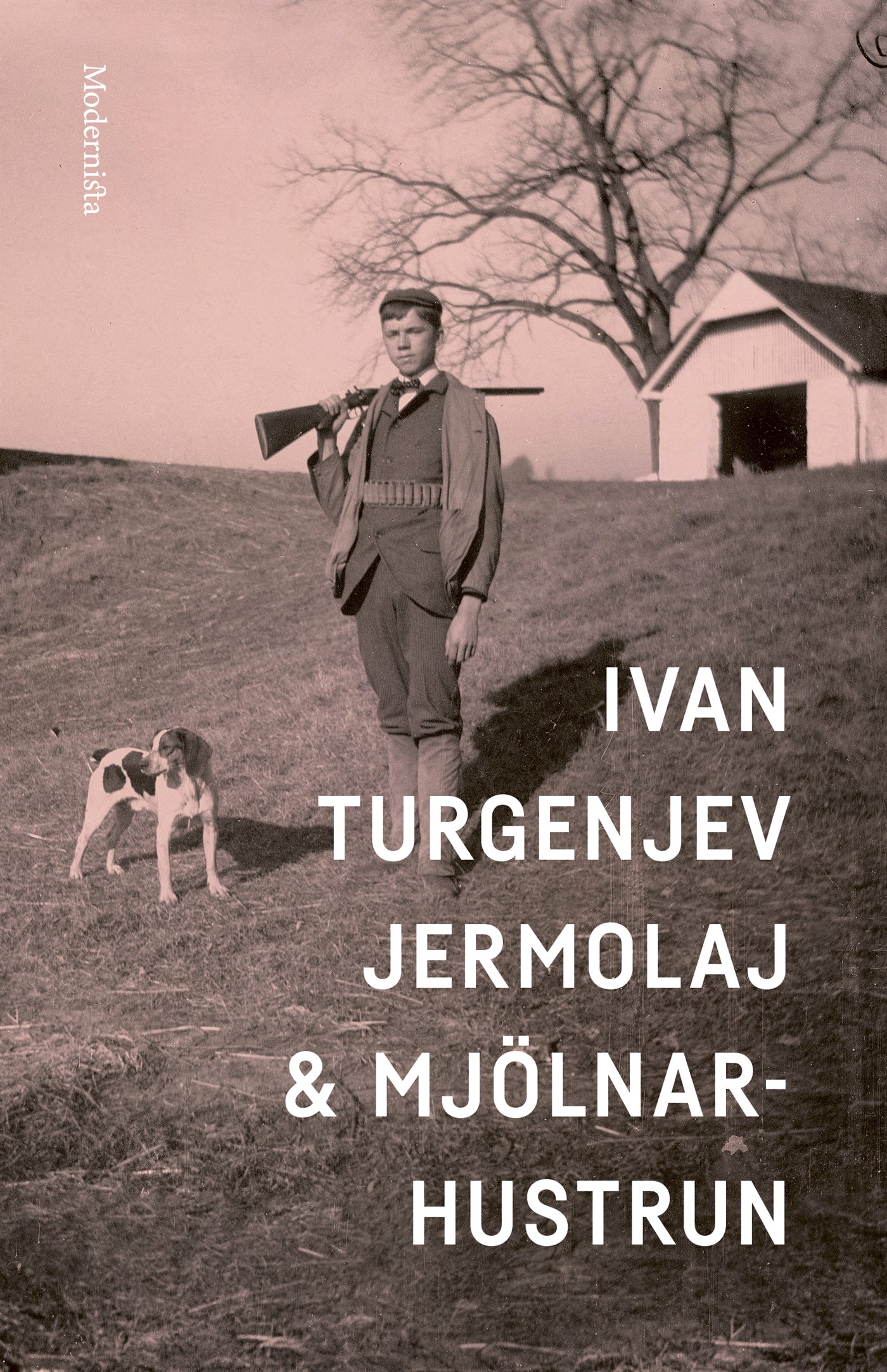 Jermolaj och mjölnarhustrun – E-bok
