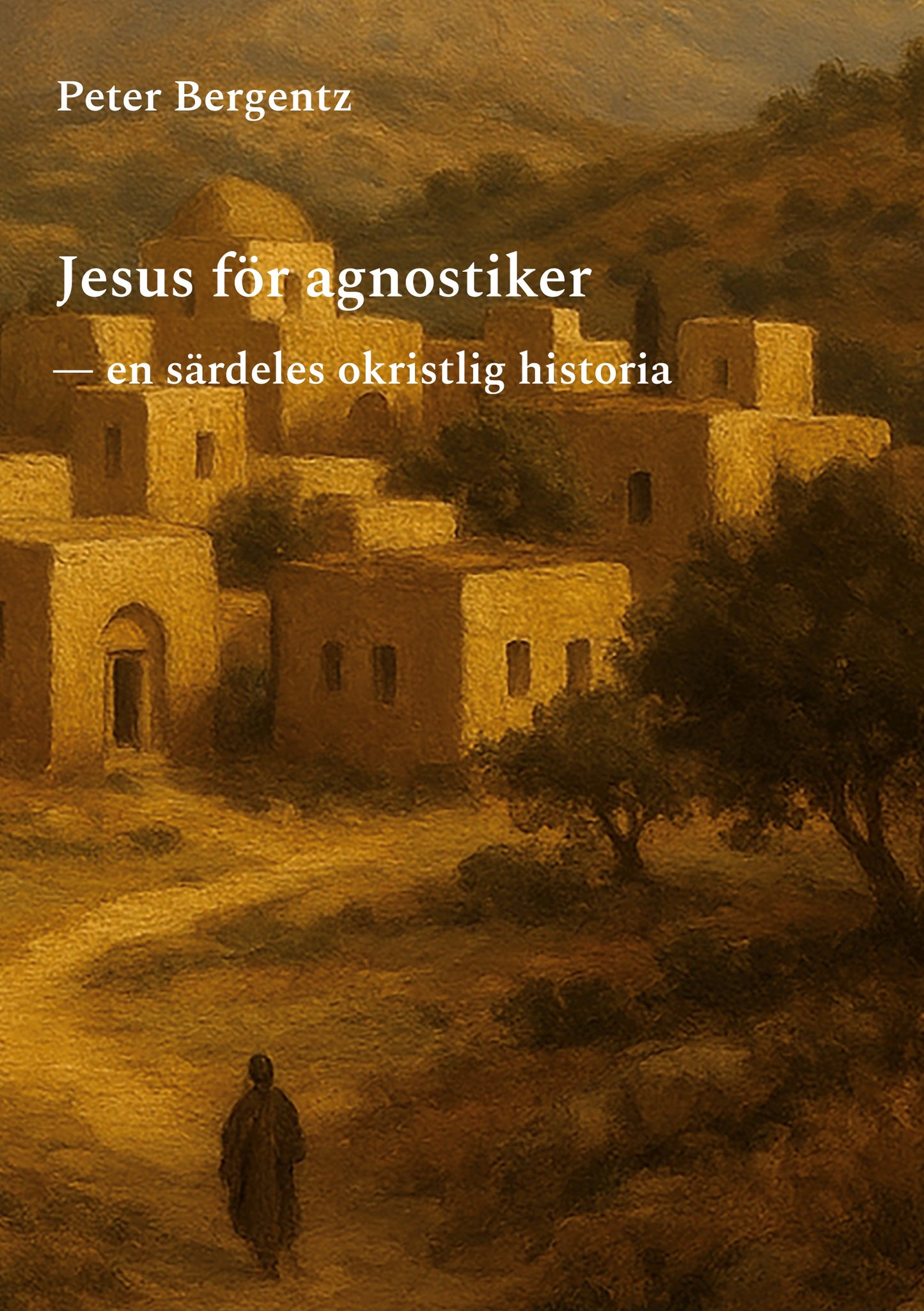 Jesus för agnostiker: En särdeles okristlig historia – E-bok