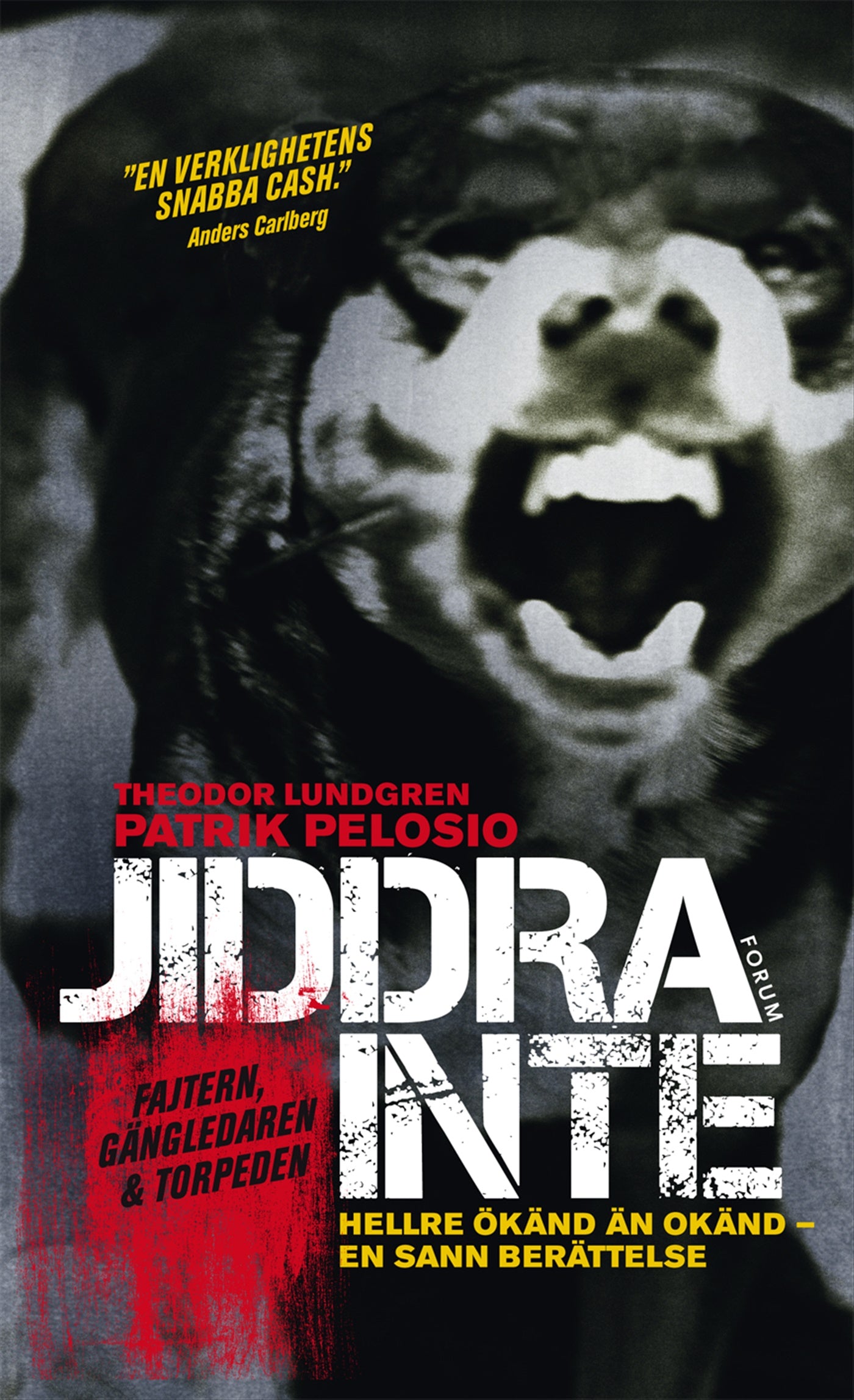 Jiddra inte – E-bok