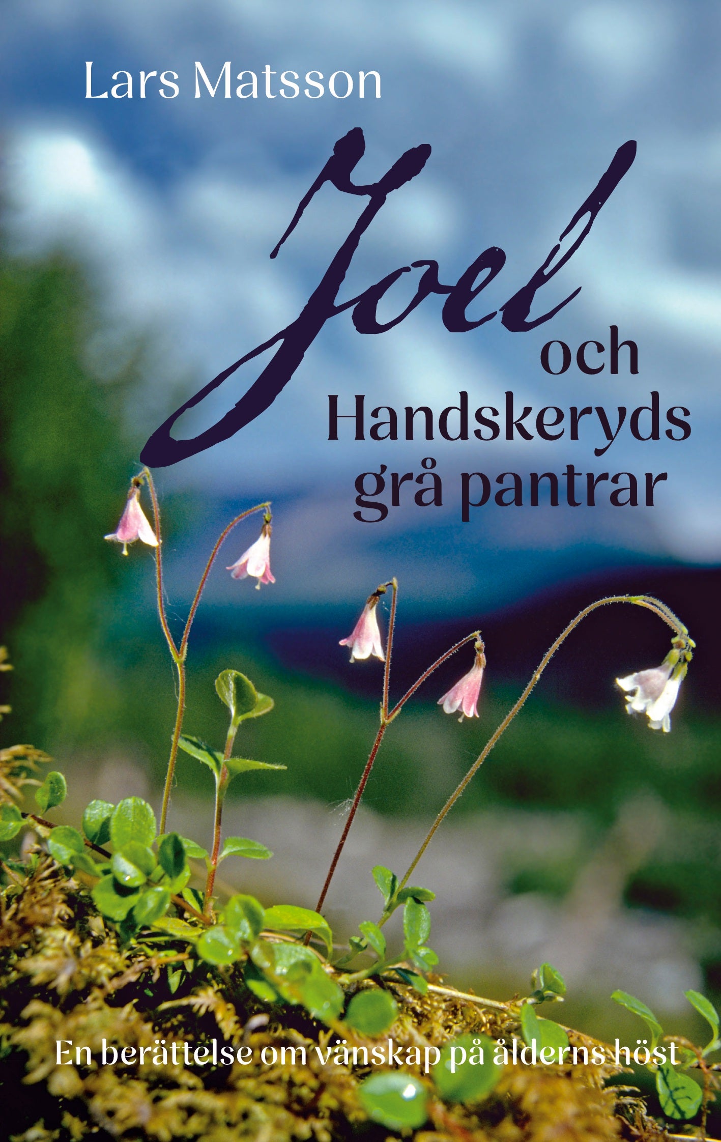 Joel och Handskeryds grå pantrar: En berättelse om vänskap på ålderns höst – E-bok