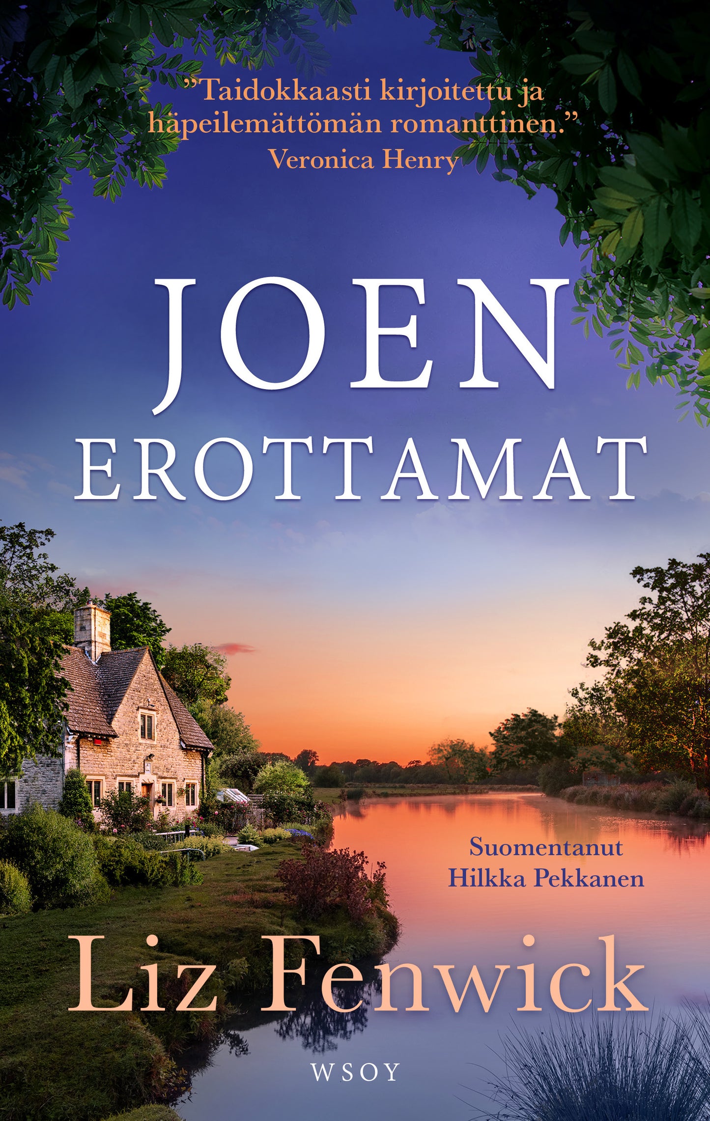 Joen erottamat – E-bok