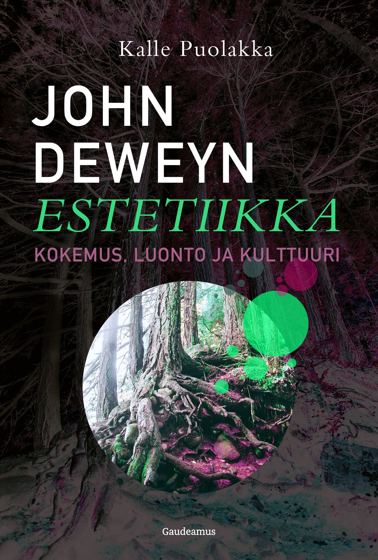 John Deweyn estetiikka – E-bok