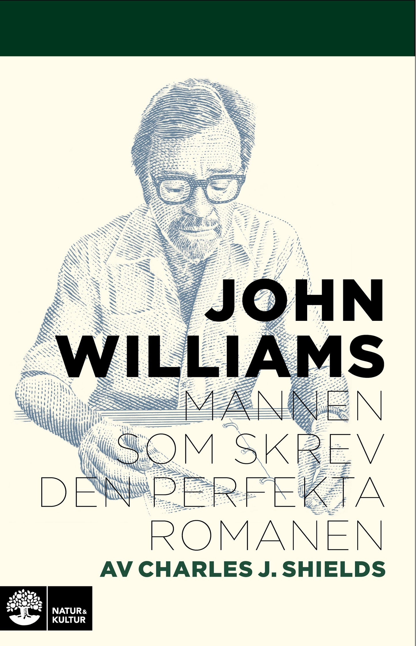 John Williams : mannen som skrev den perfekta romanen – E-bok