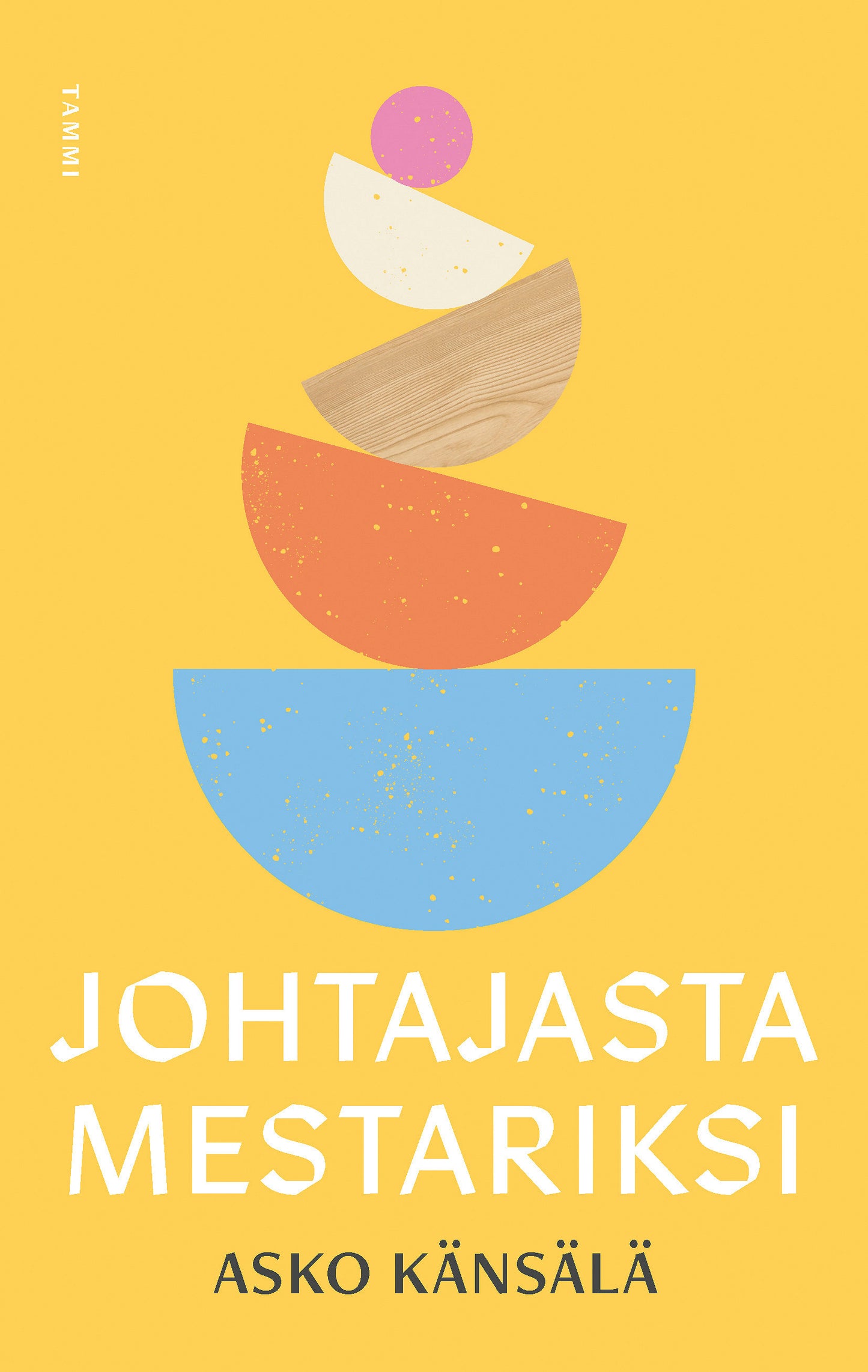 Johtajasta mestariksi – E-bok