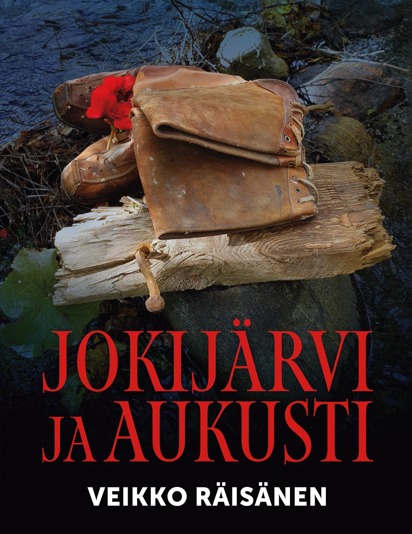 Jokijärvi ja Aukusti – E-bok