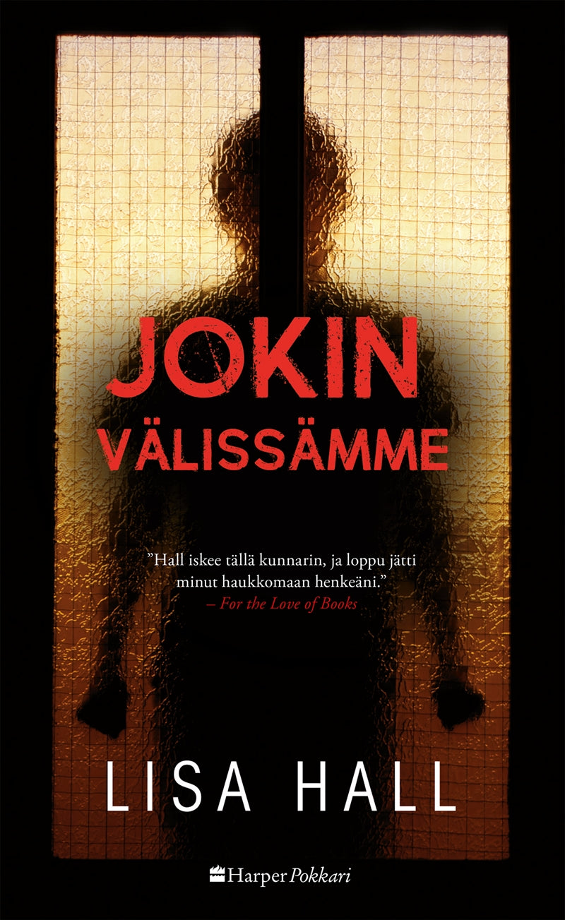 Jokin välissämme – E-bok