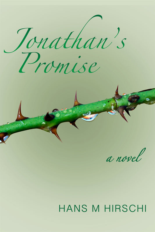 Jonathan's Promise – E-bok
