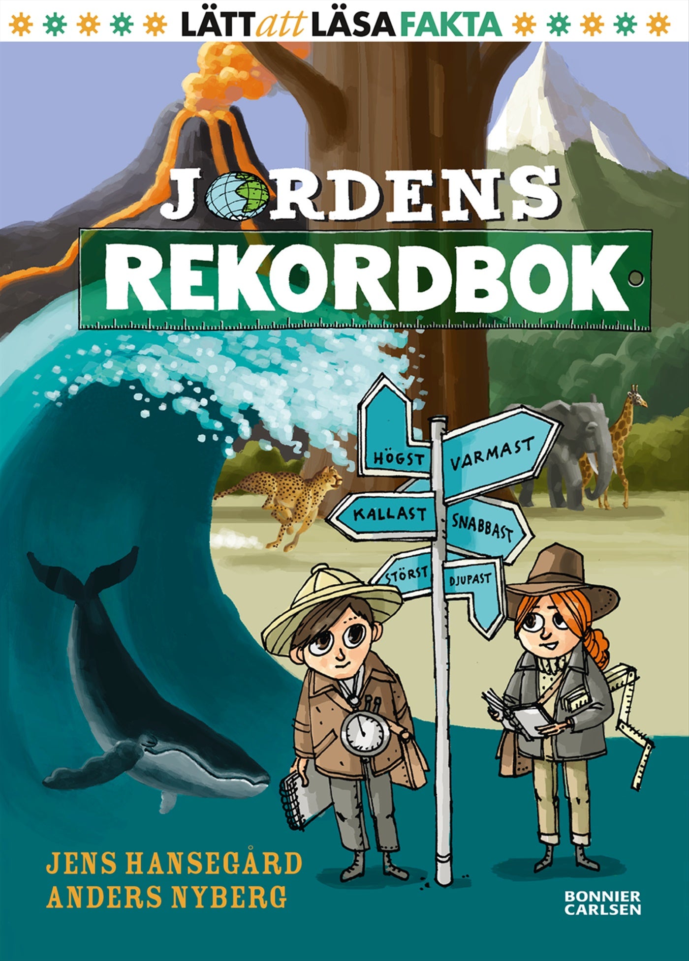 Jordens rekordbok – E-bok