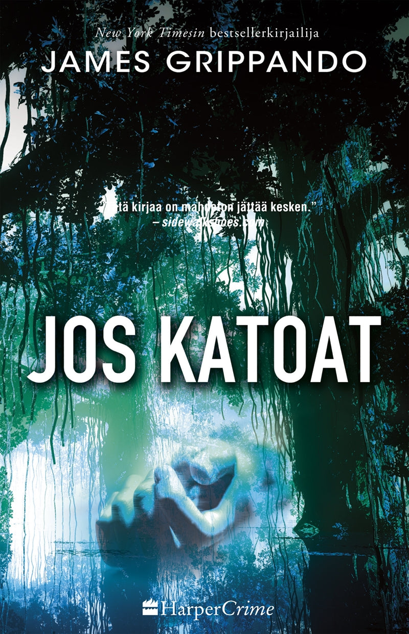 Jos katoat – E-bok