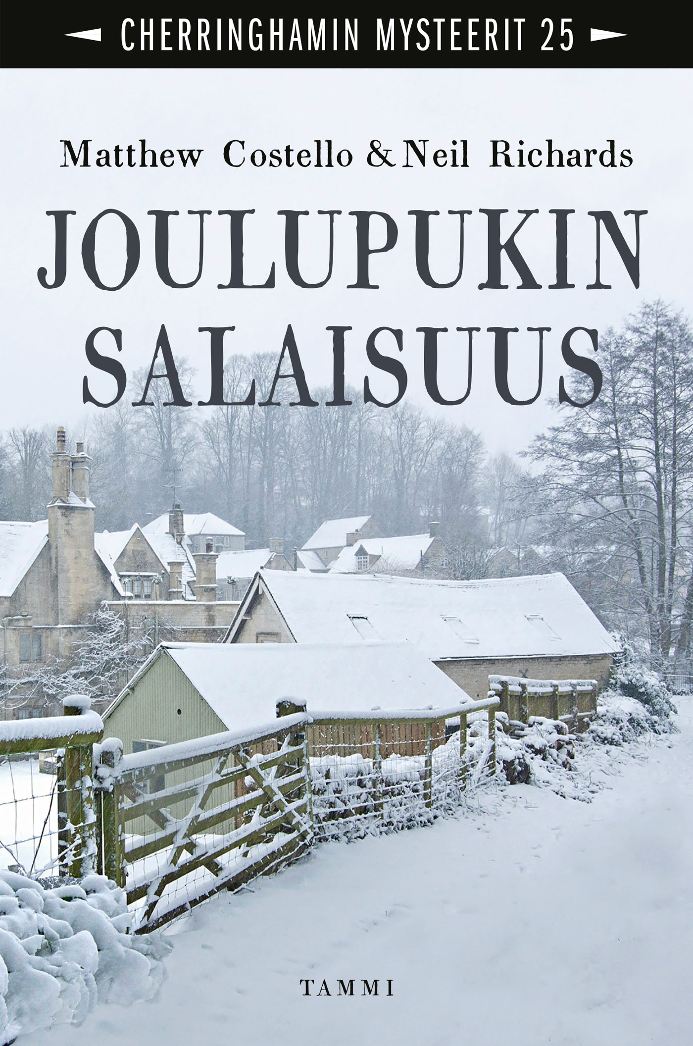 Joulupukin salaisuus – E-bok