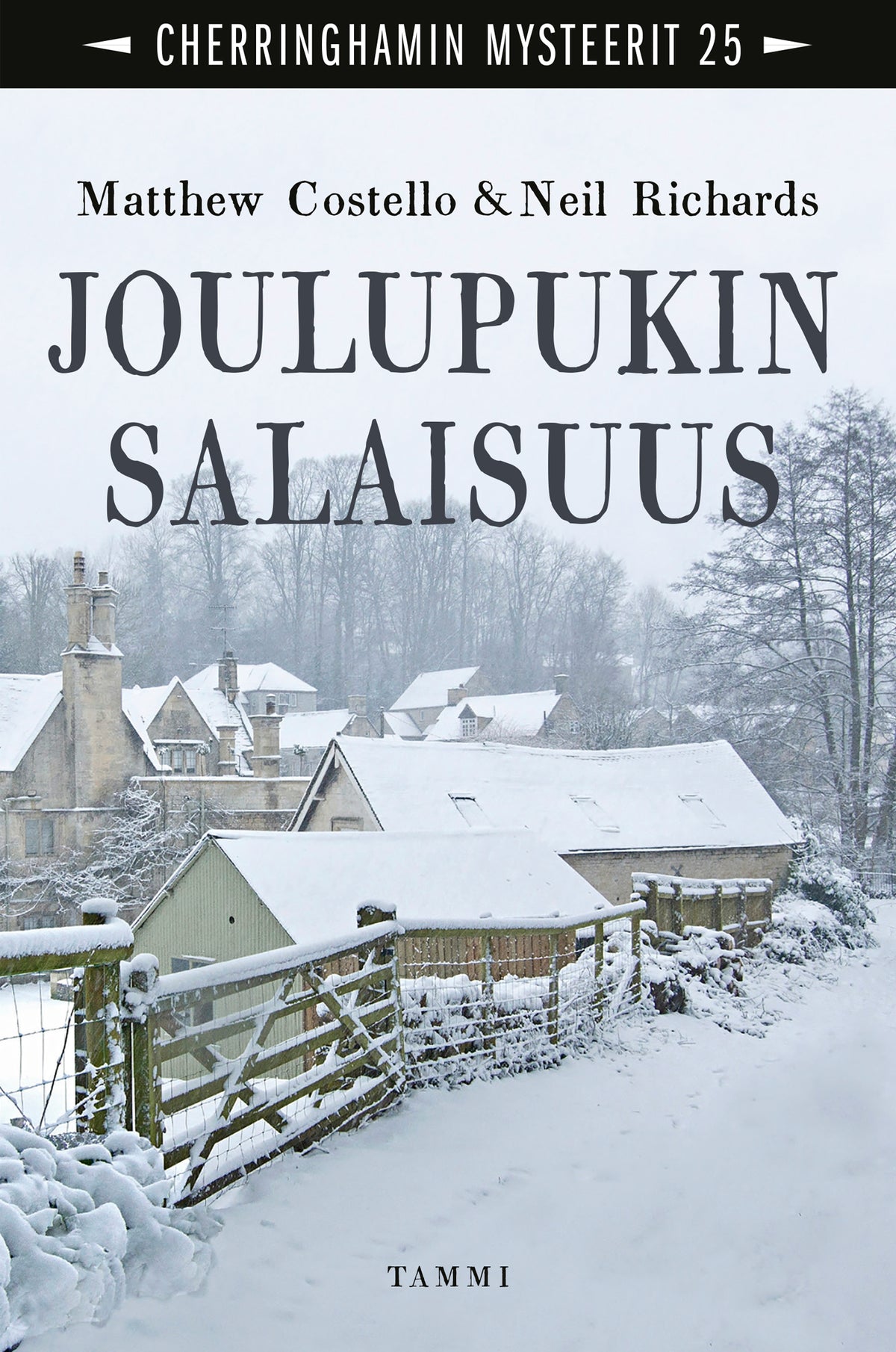 Joulupukin salaisuus – E-bok
