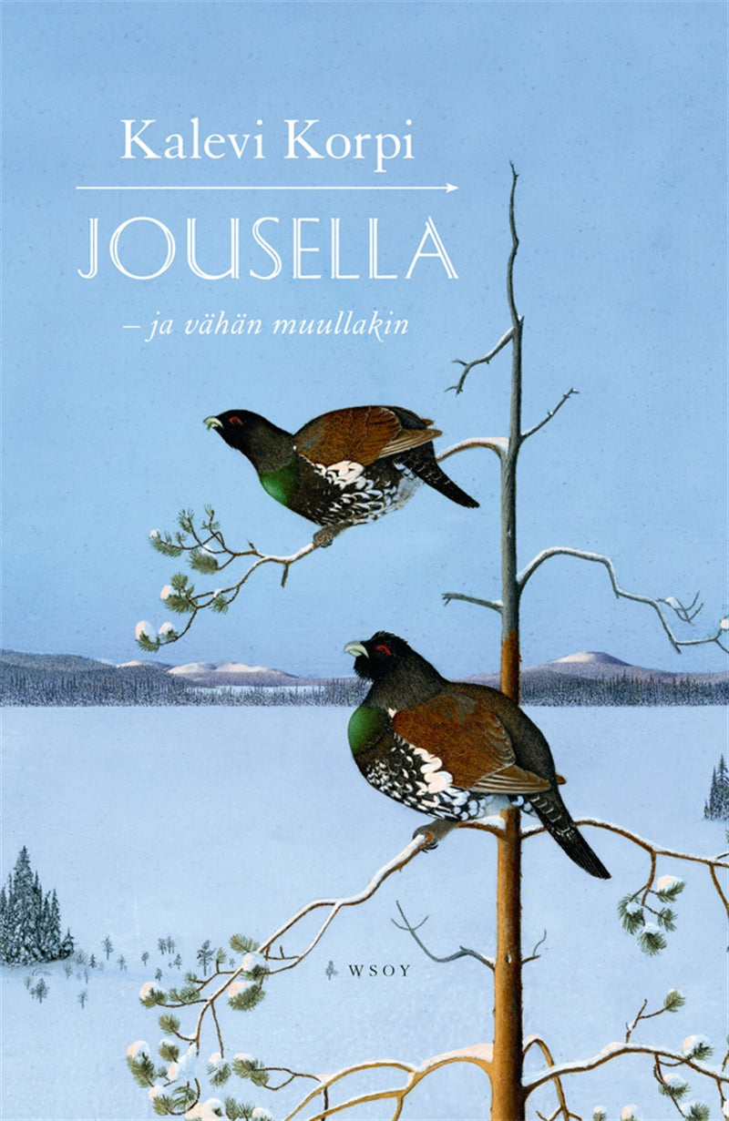 Jousella ja vähän muullakin – E-bok