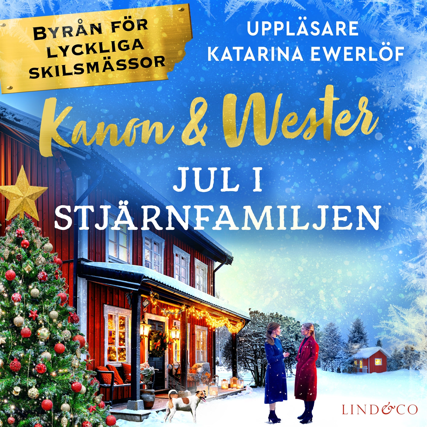 Jul i stjärnfamiljen – Ljudbok
