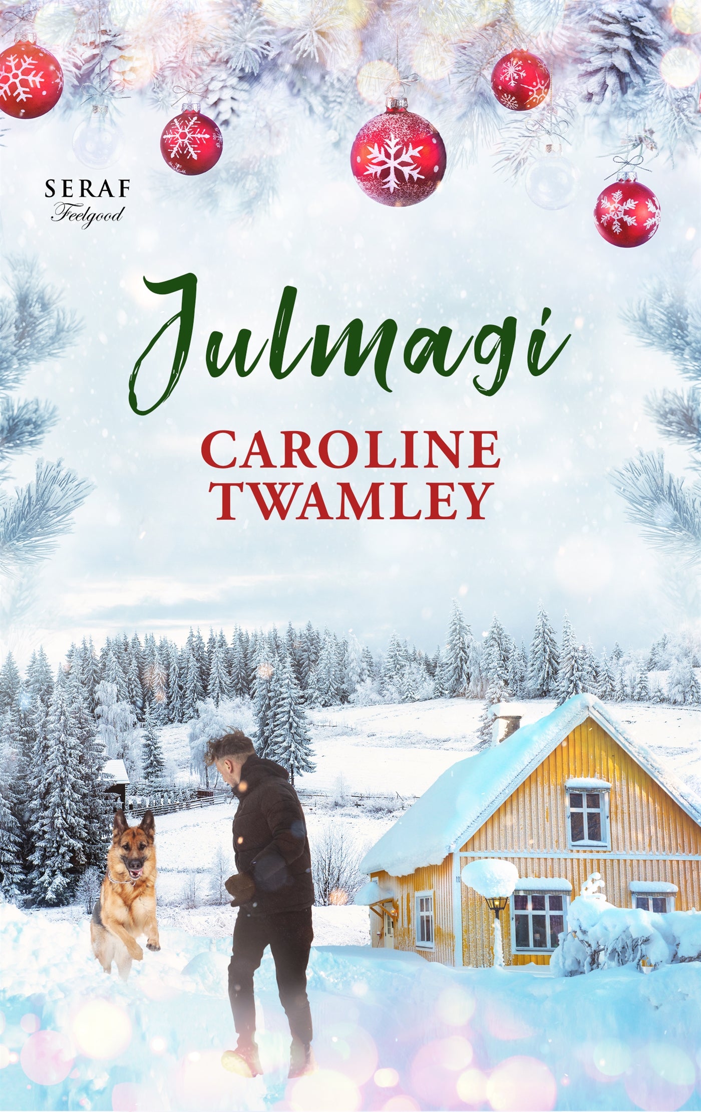 Julmagi – E-bok