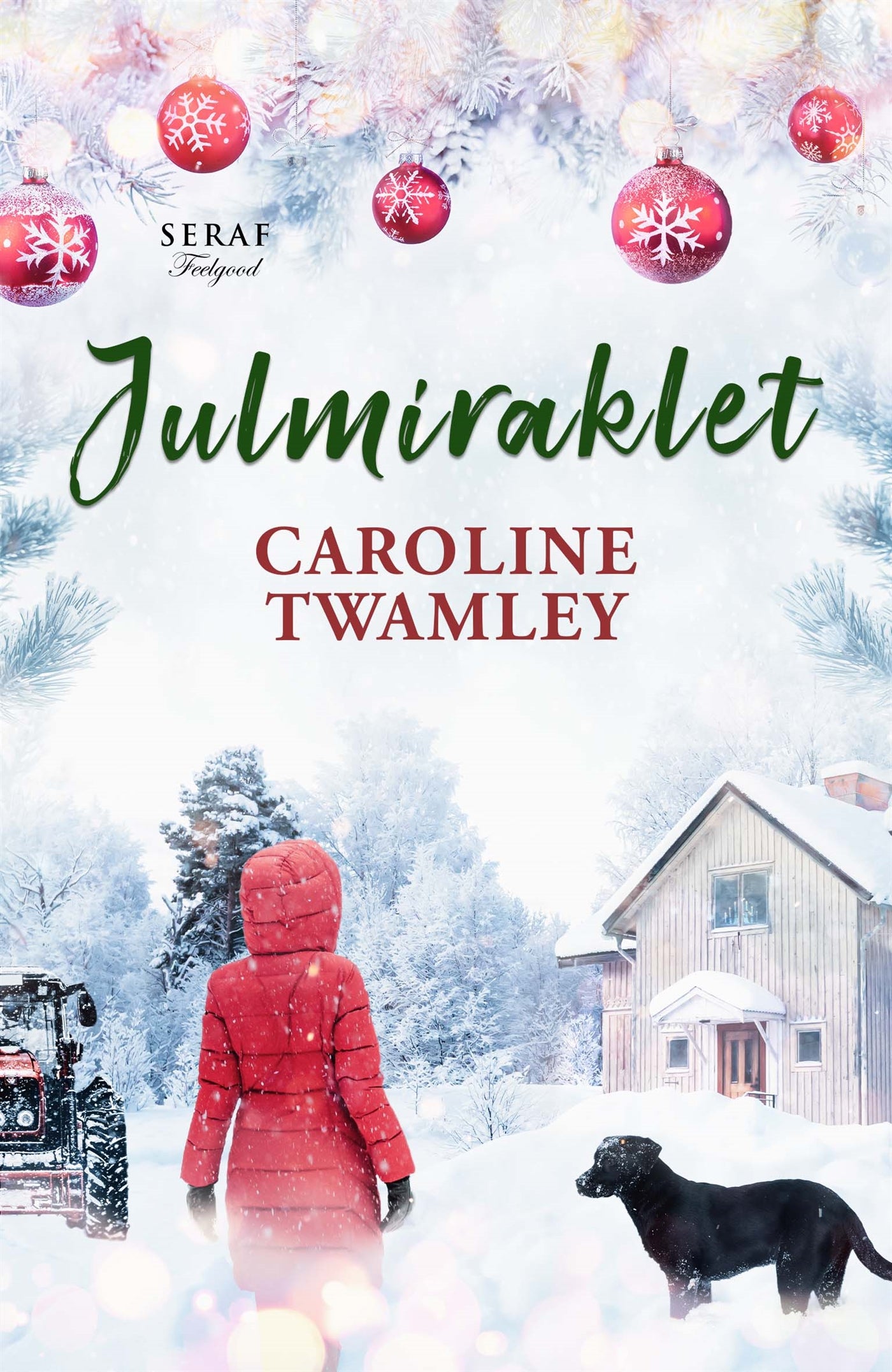 Julmiraklet – E-bok