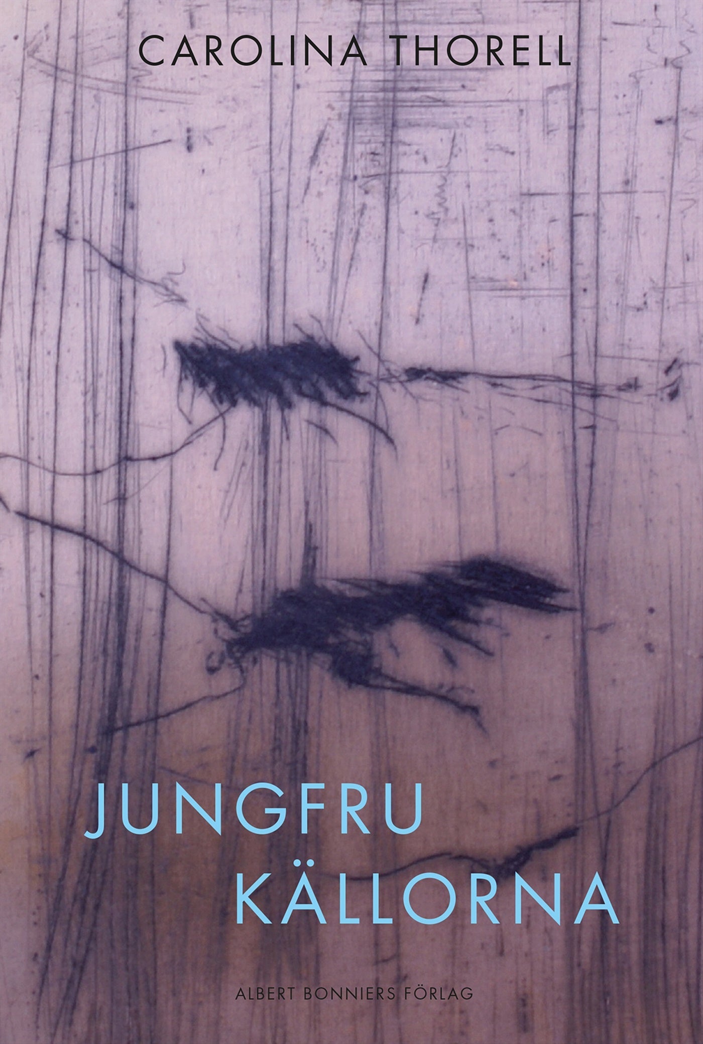 Jungfrukällorna – E-bok