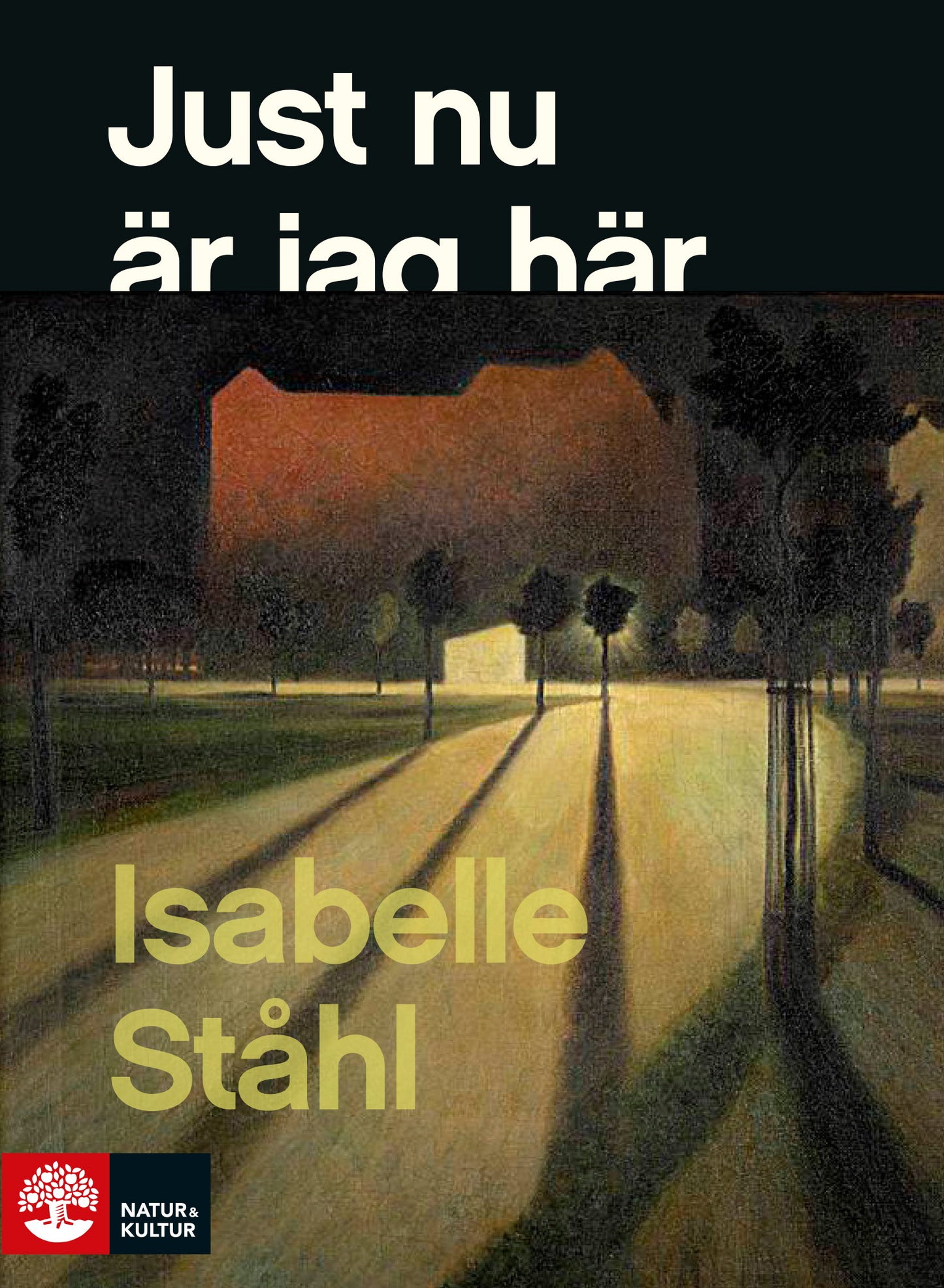 Just nu är jag här – E-bok