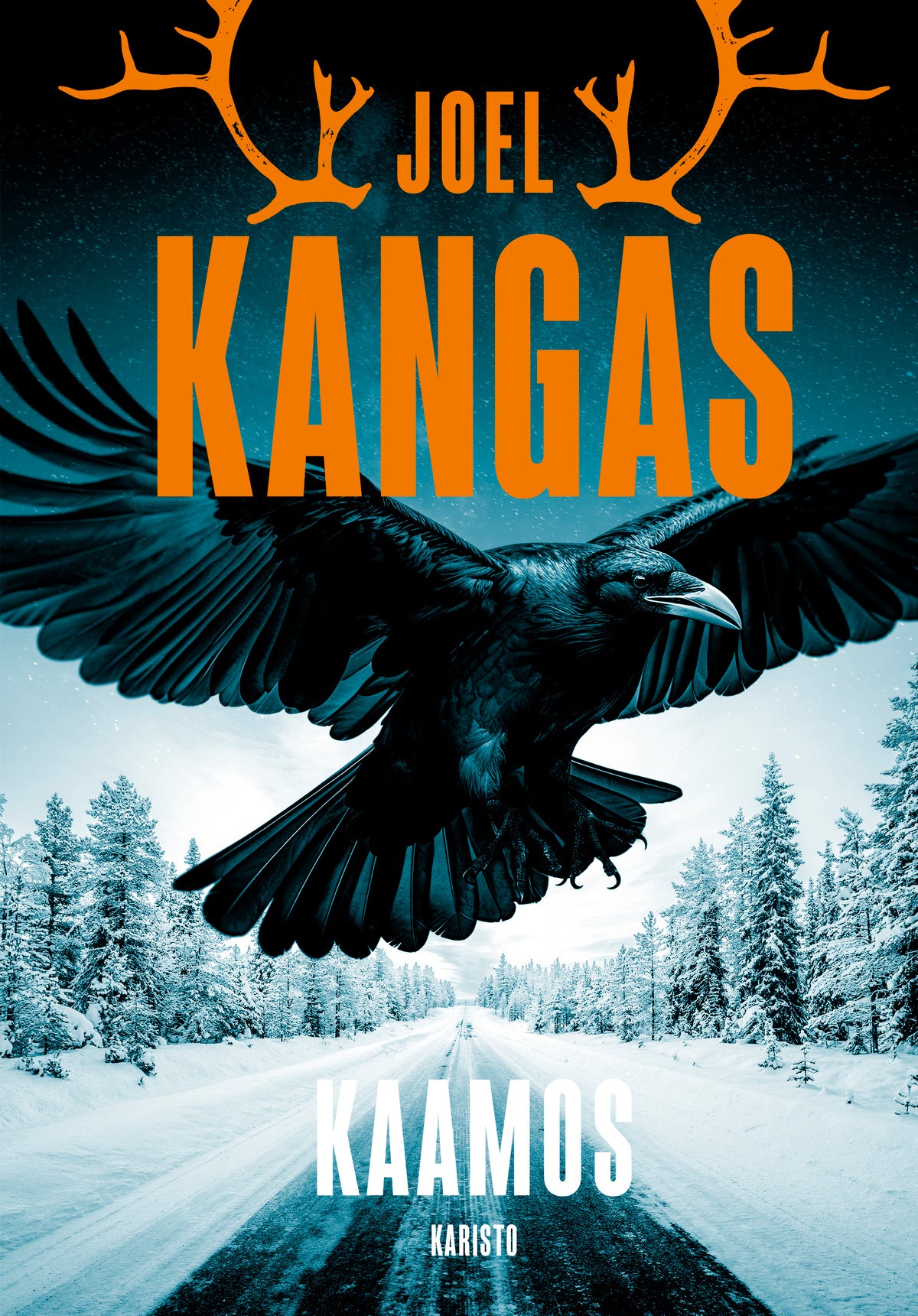 Kaamos – E-bok