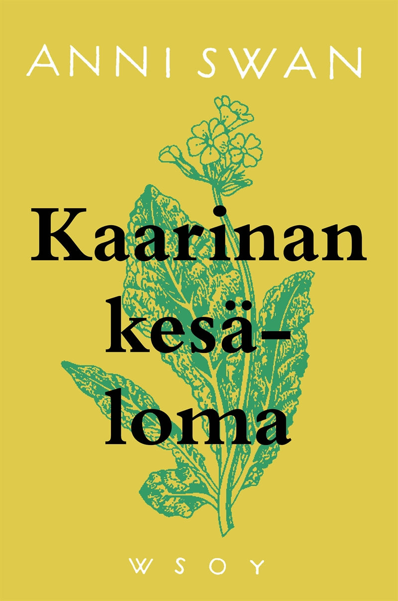 Kaarinan kesäloma – E-bok