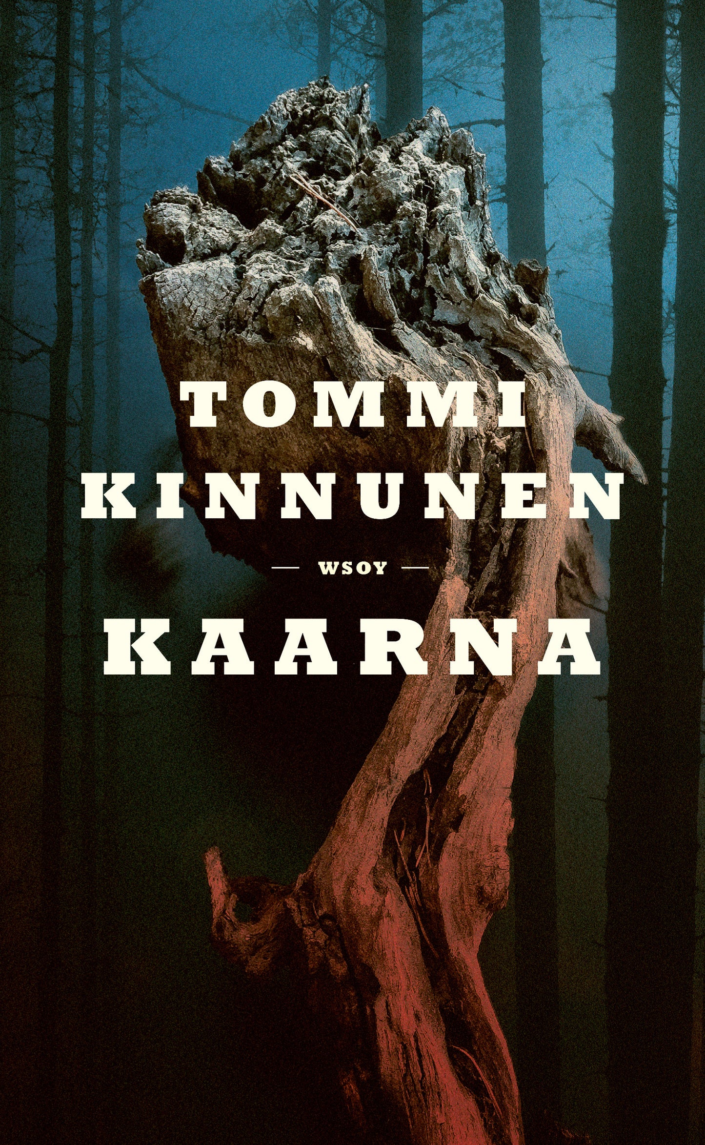 Kaarna – E-bok