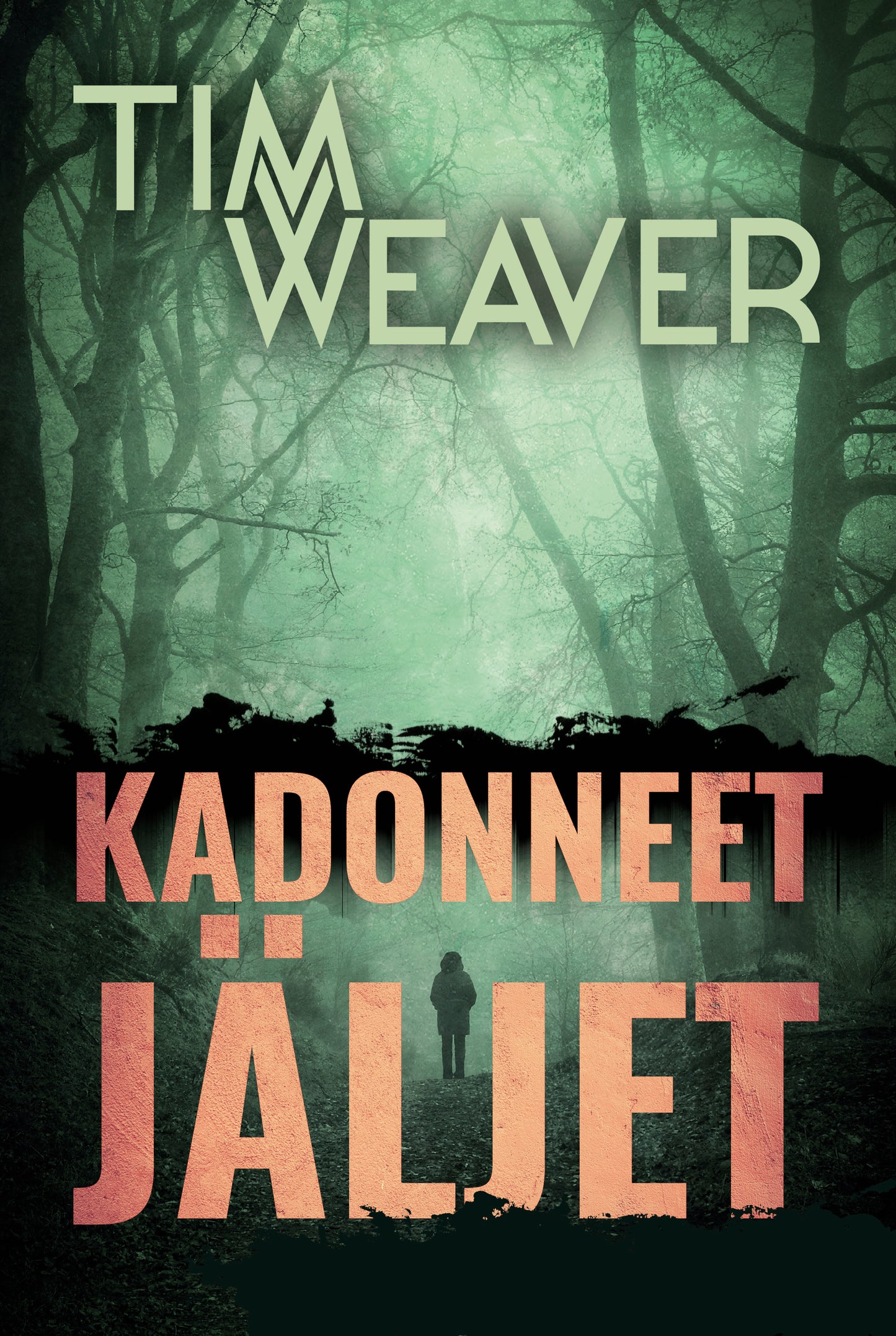 Kadonneet jäljet – E-bok