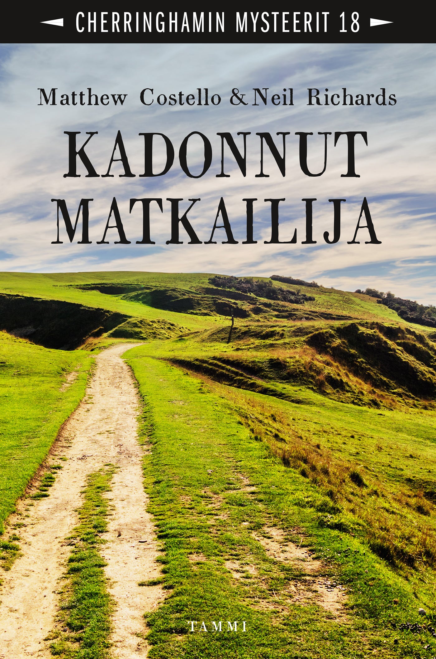 Kadonnut matkailija – E-bok