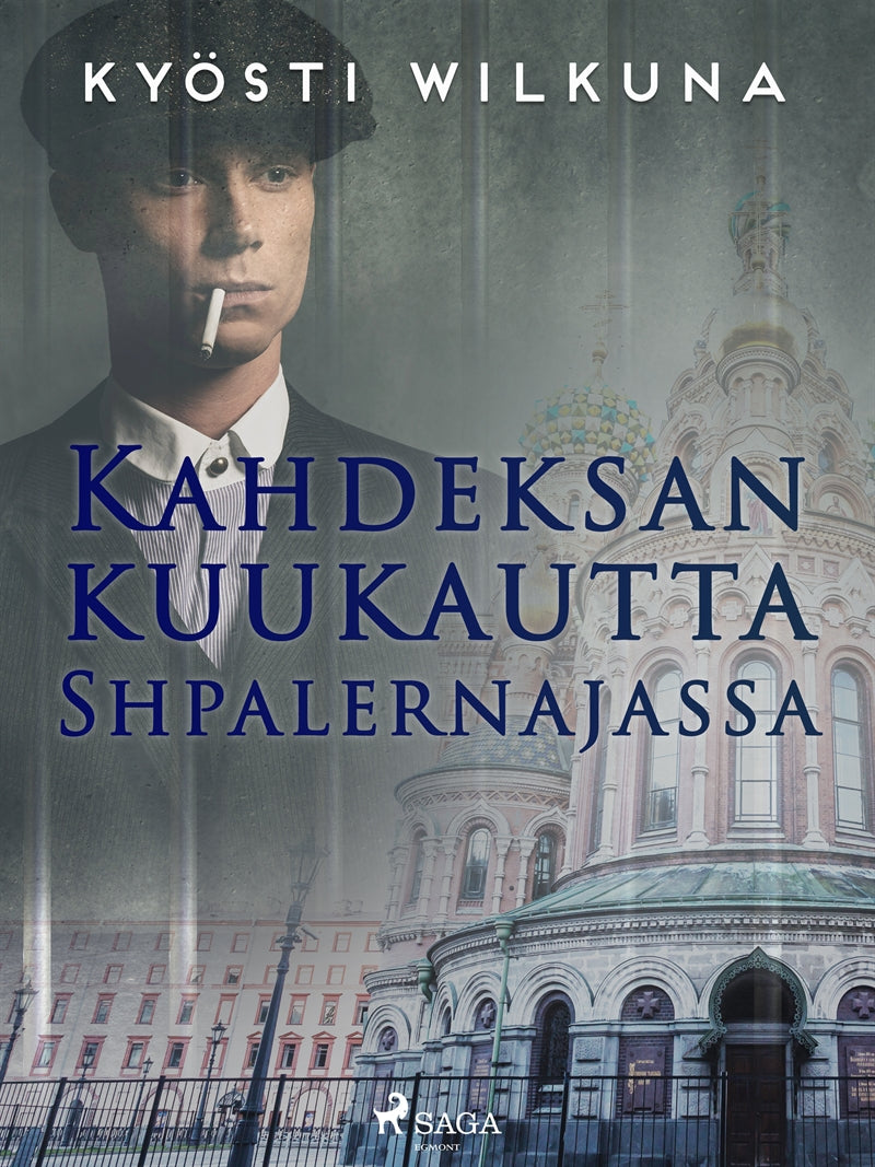 Kahdeksan kuukautta Shpalernajassa – E-bok