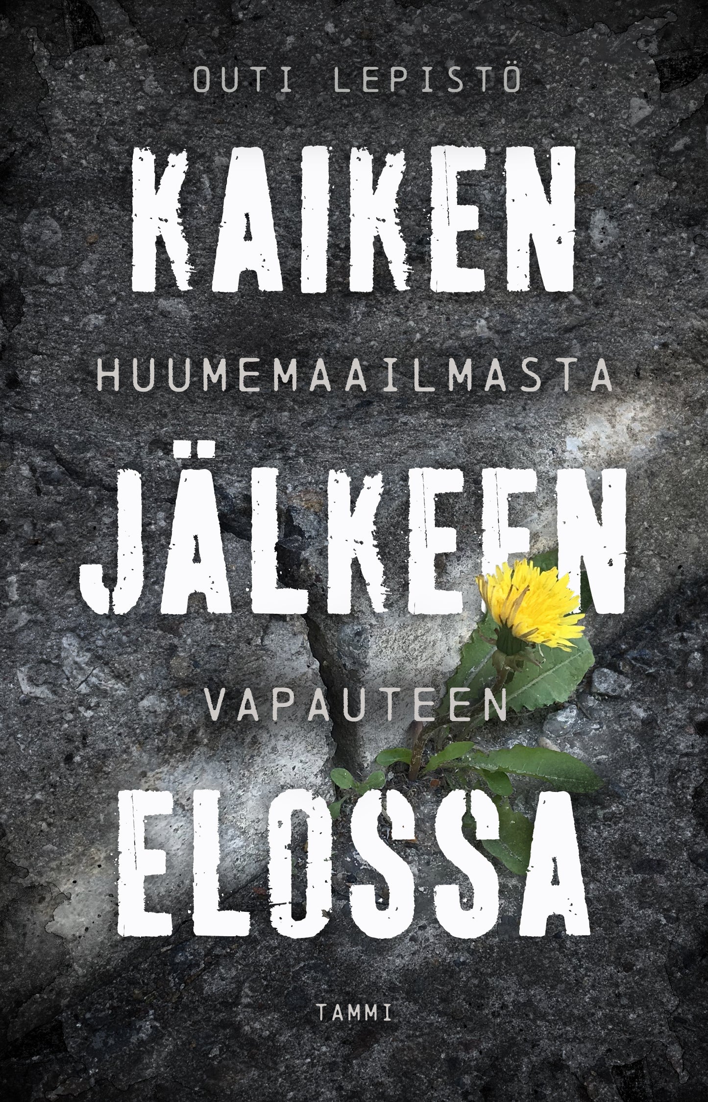 Kaiken jälkeen elossa – E-bok