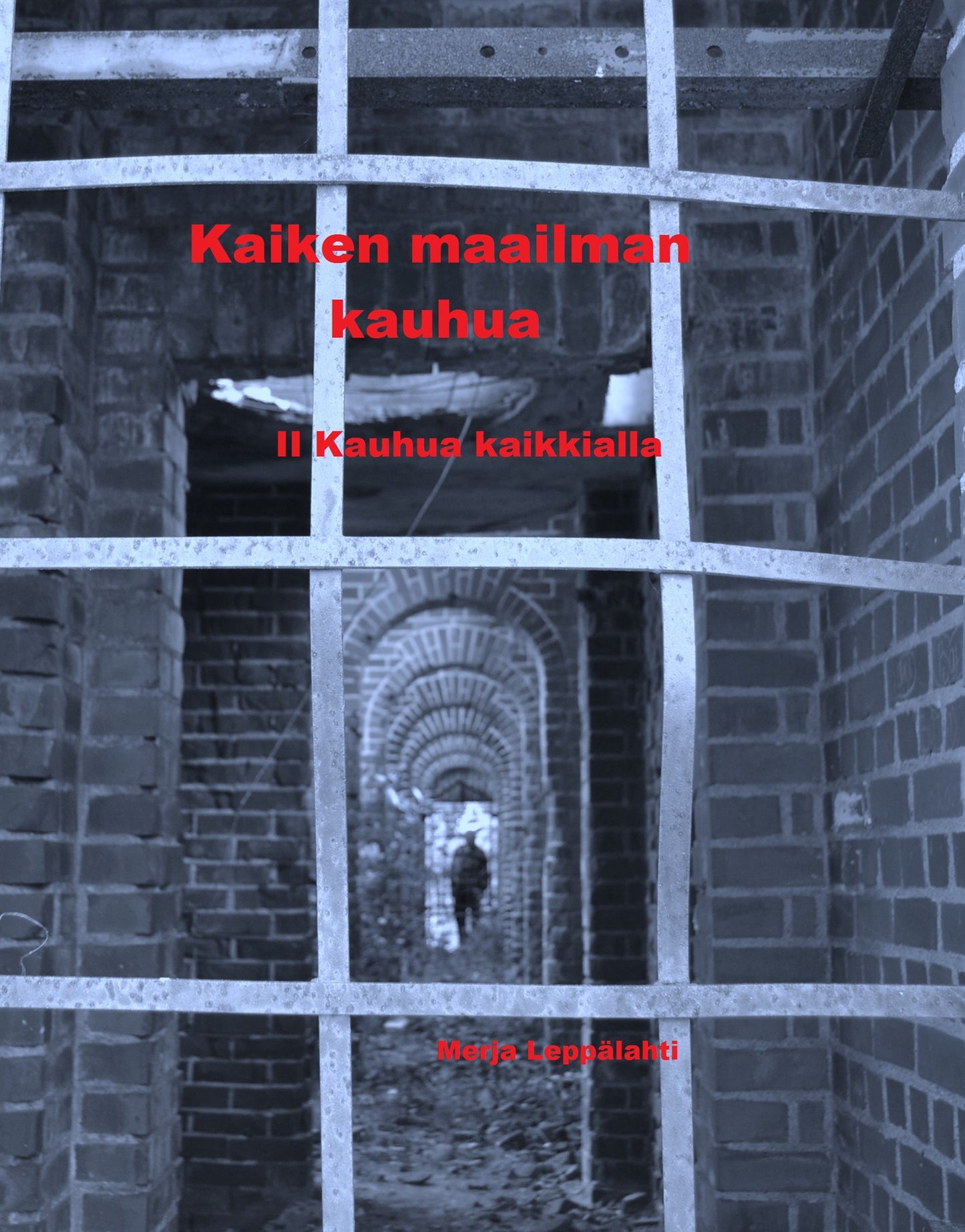 Kaiken maailman kauhua II: Kauhua kaikkialla – E-bok
