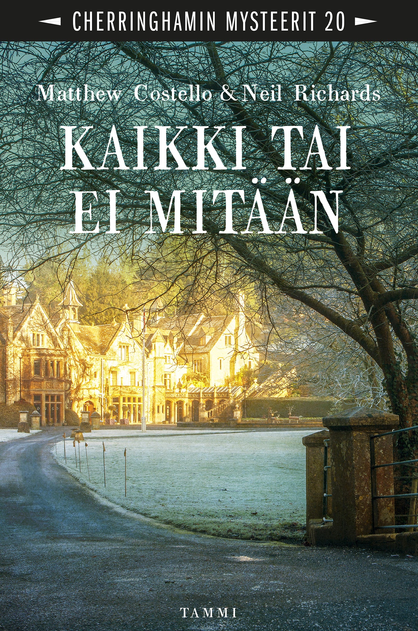 Kaikki tai ei mitään – E-bok