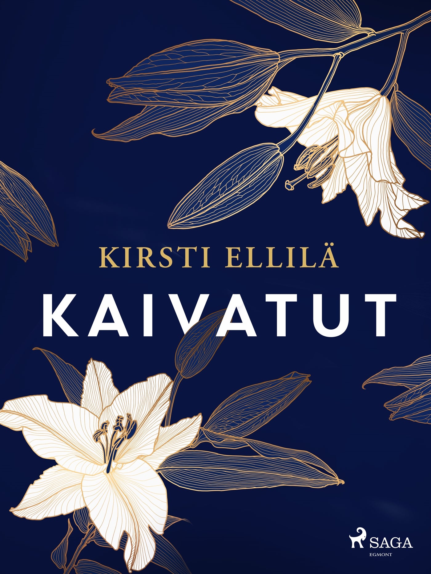 Kaivatut – E-bok
