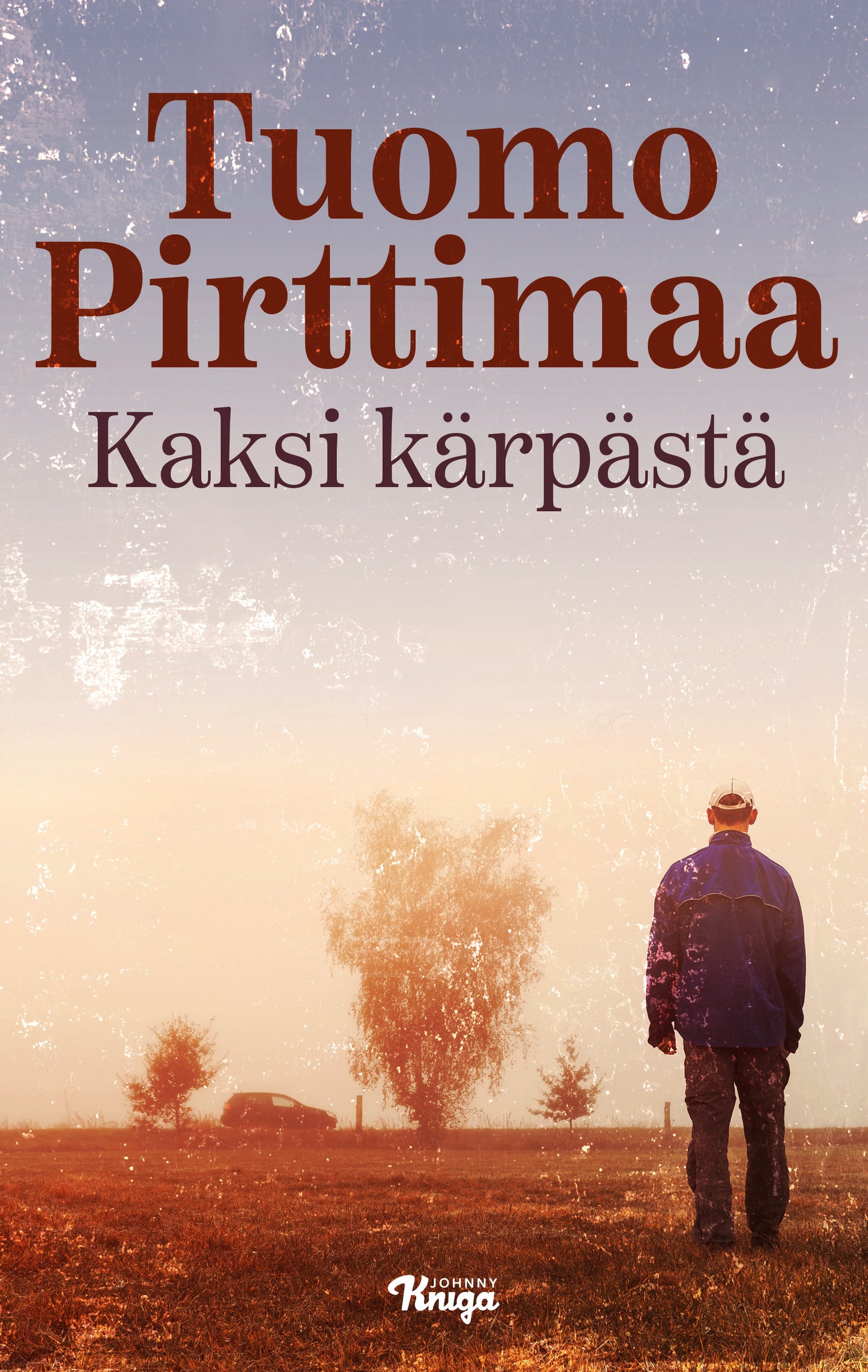 Kaksi kärpästä – E-bok