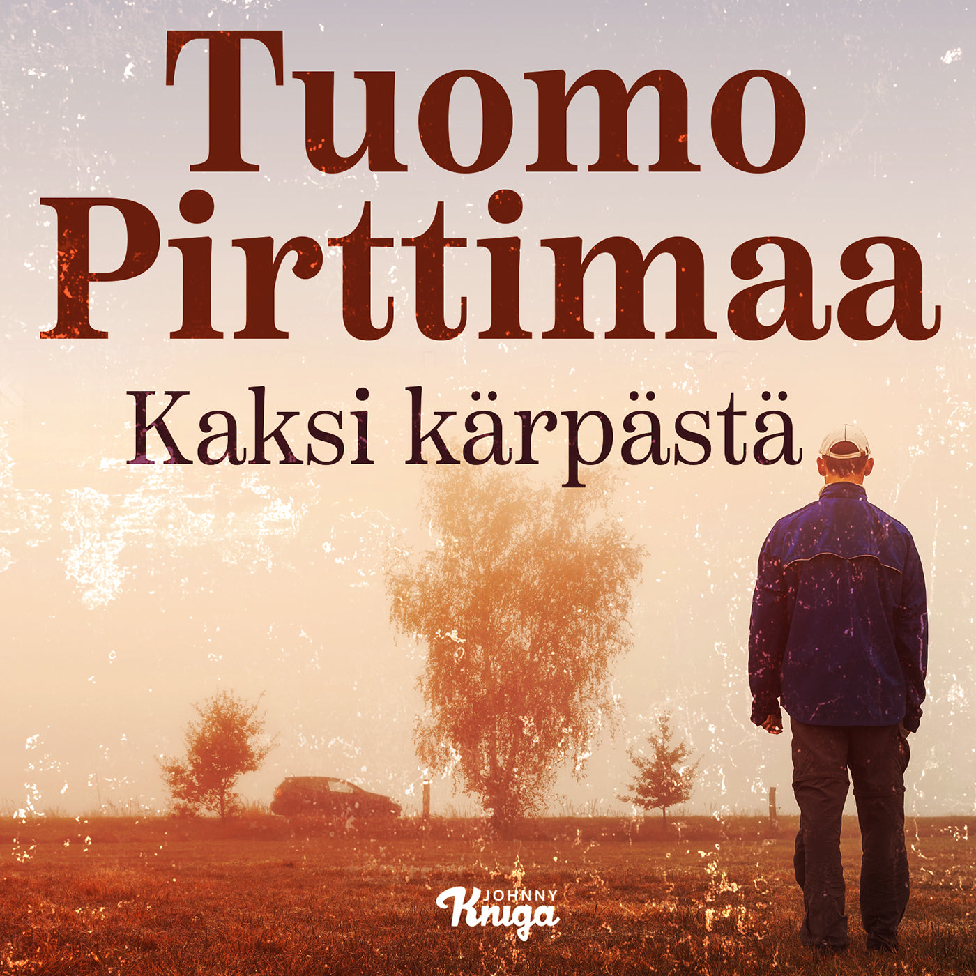 Kaksi kärpästä – Ljudbok