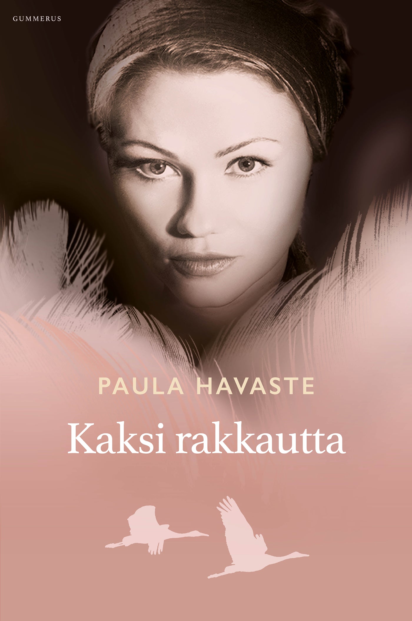 Kaksi rakkautta – E-bok