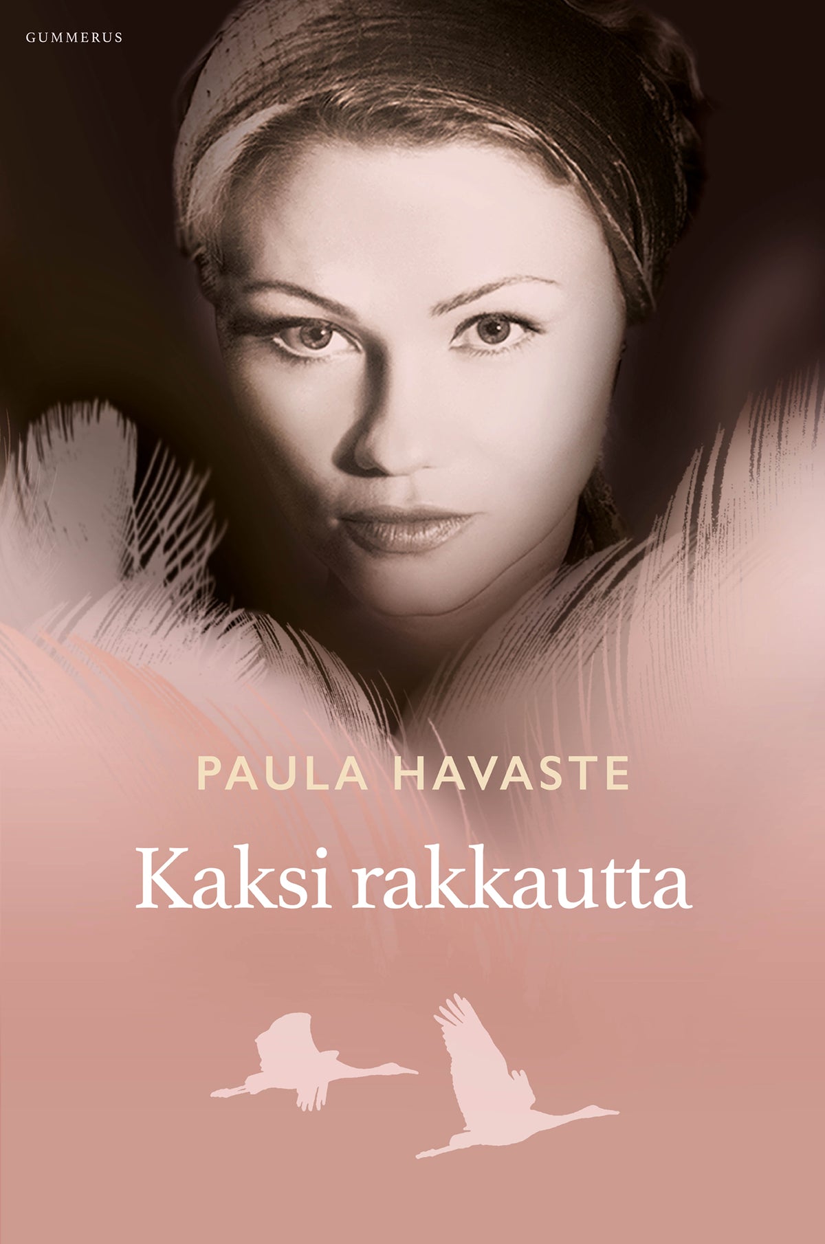 Kaksi rakkautta – E-bok