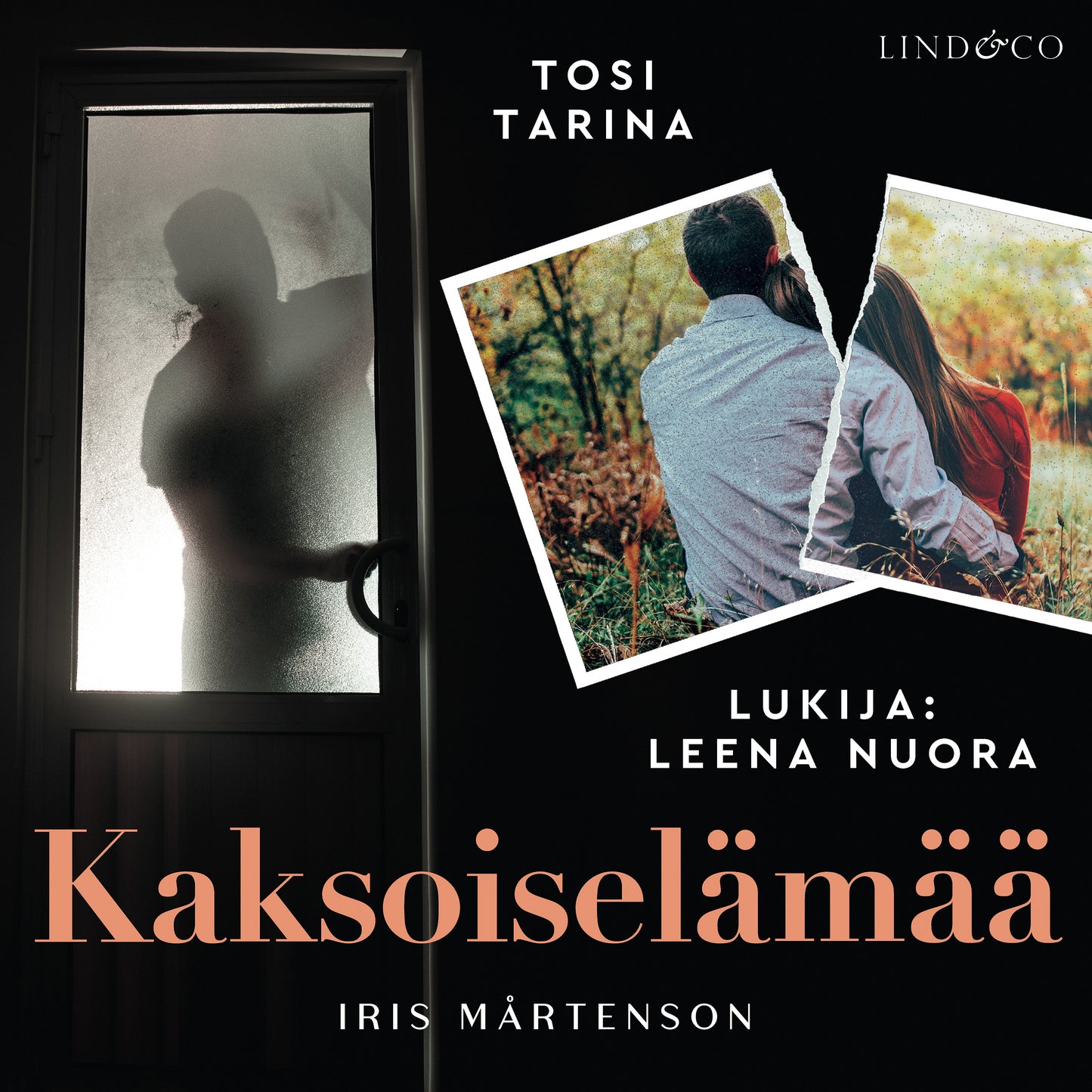 Kaksoiselämää – Ljudbok