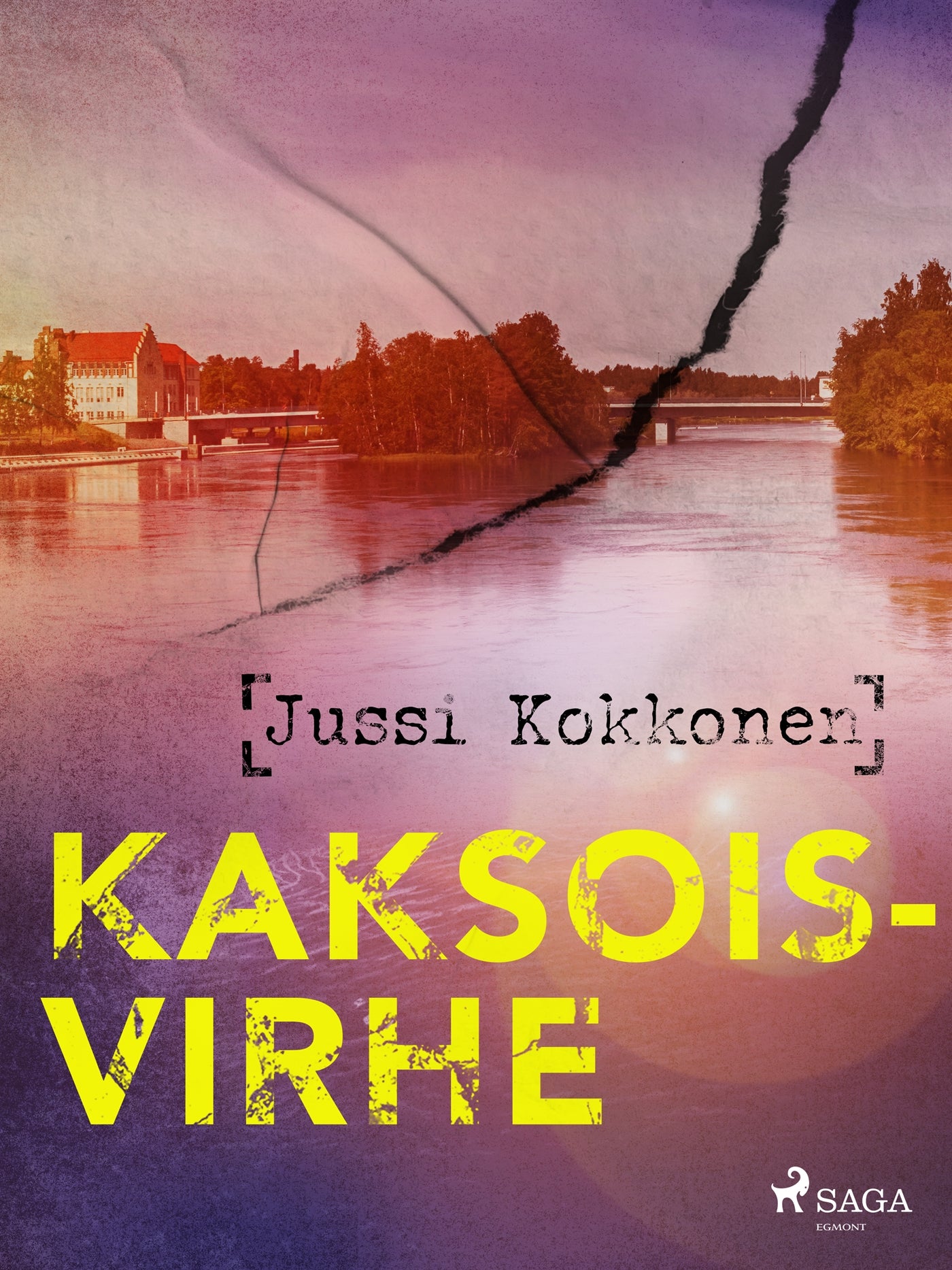 Kaksoisvirhe – E-bok