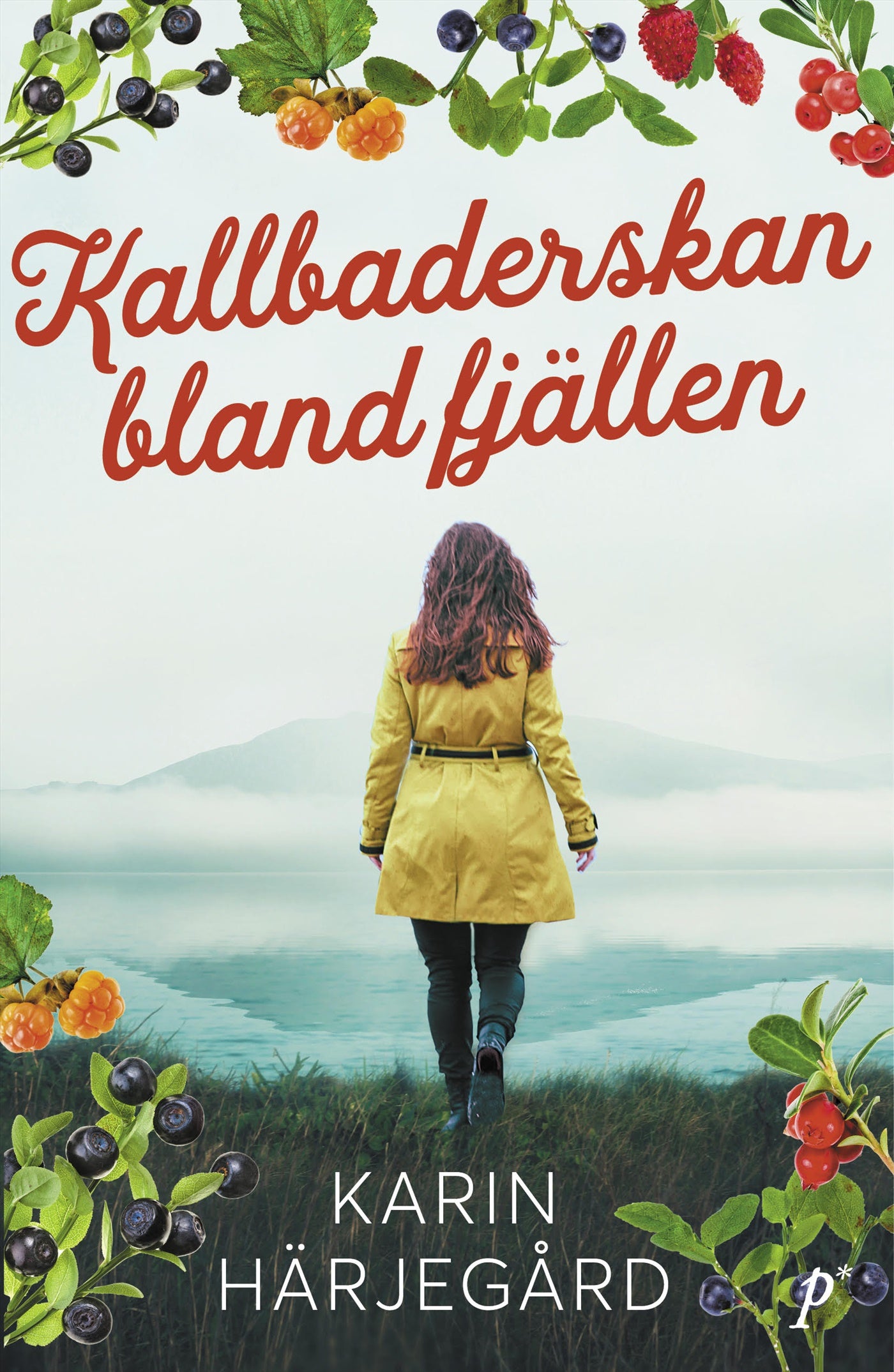 Kallbaderskan bland fjällen – E-bok
