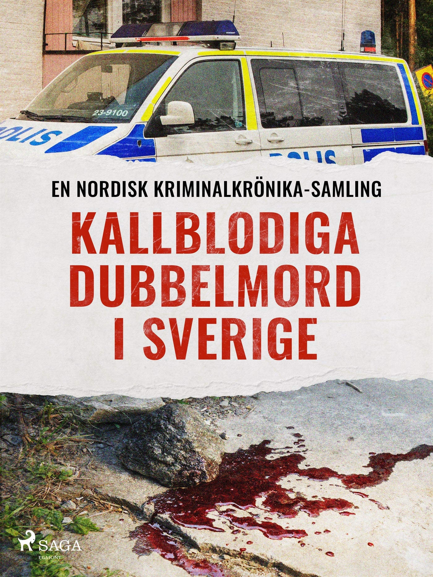 Kallblodiga dubbelmord i Sverige – E-bok
