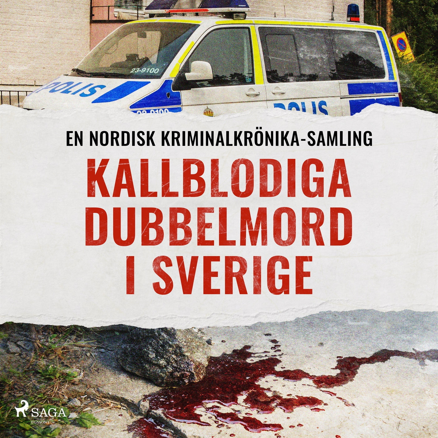 Kallblodiga dubbelmord i Sverige – Ljudbok