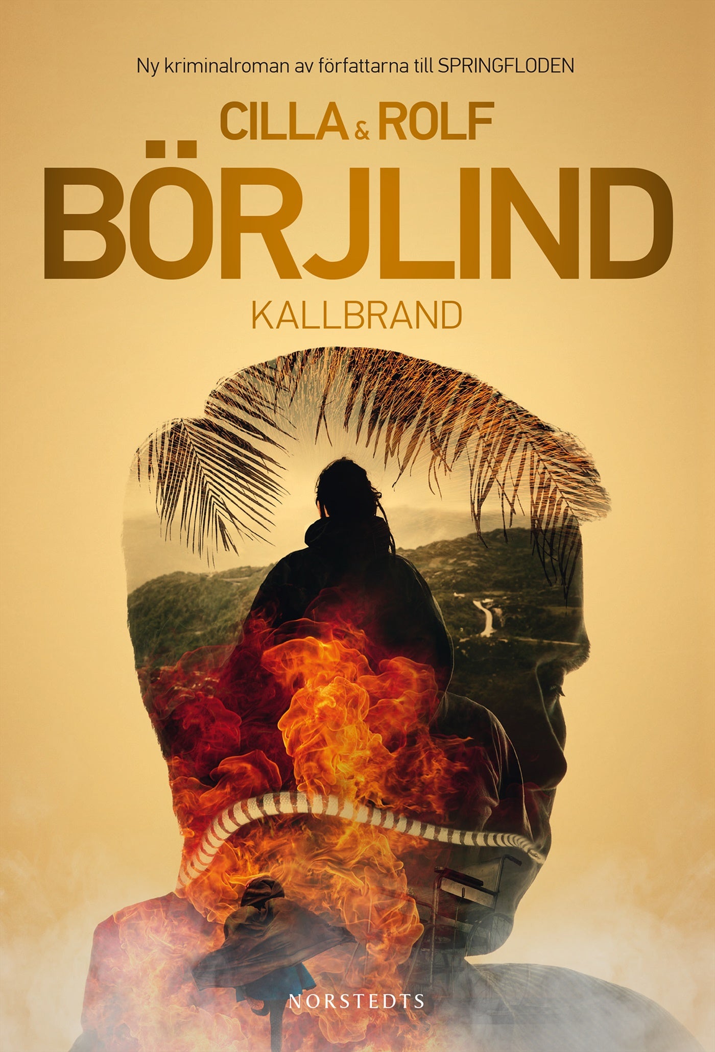 Kallbrand – E-bok