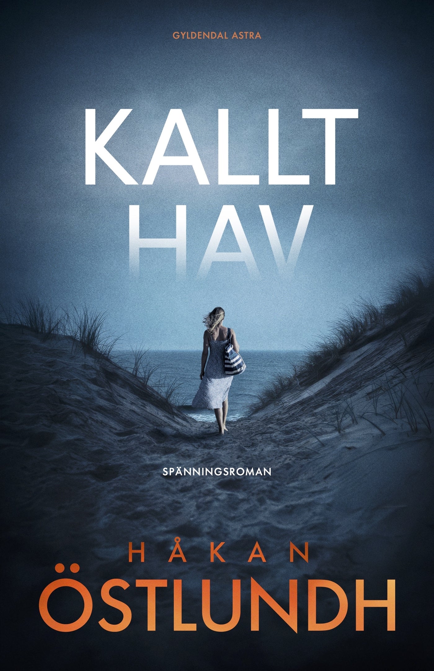 Kallt hav – E-bok