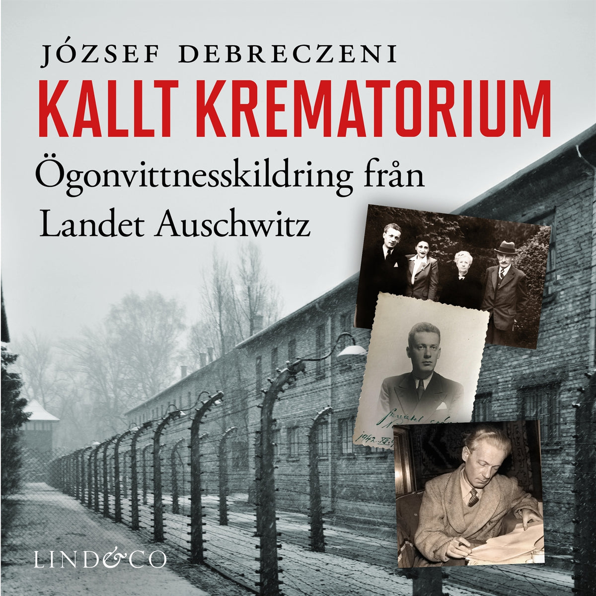 Kallt krematorium – Ljudbok