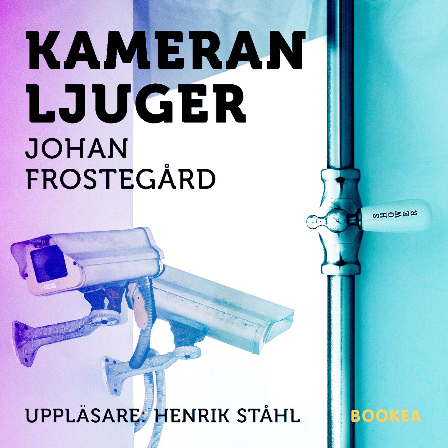 Kameran ljuger – Ljudbok