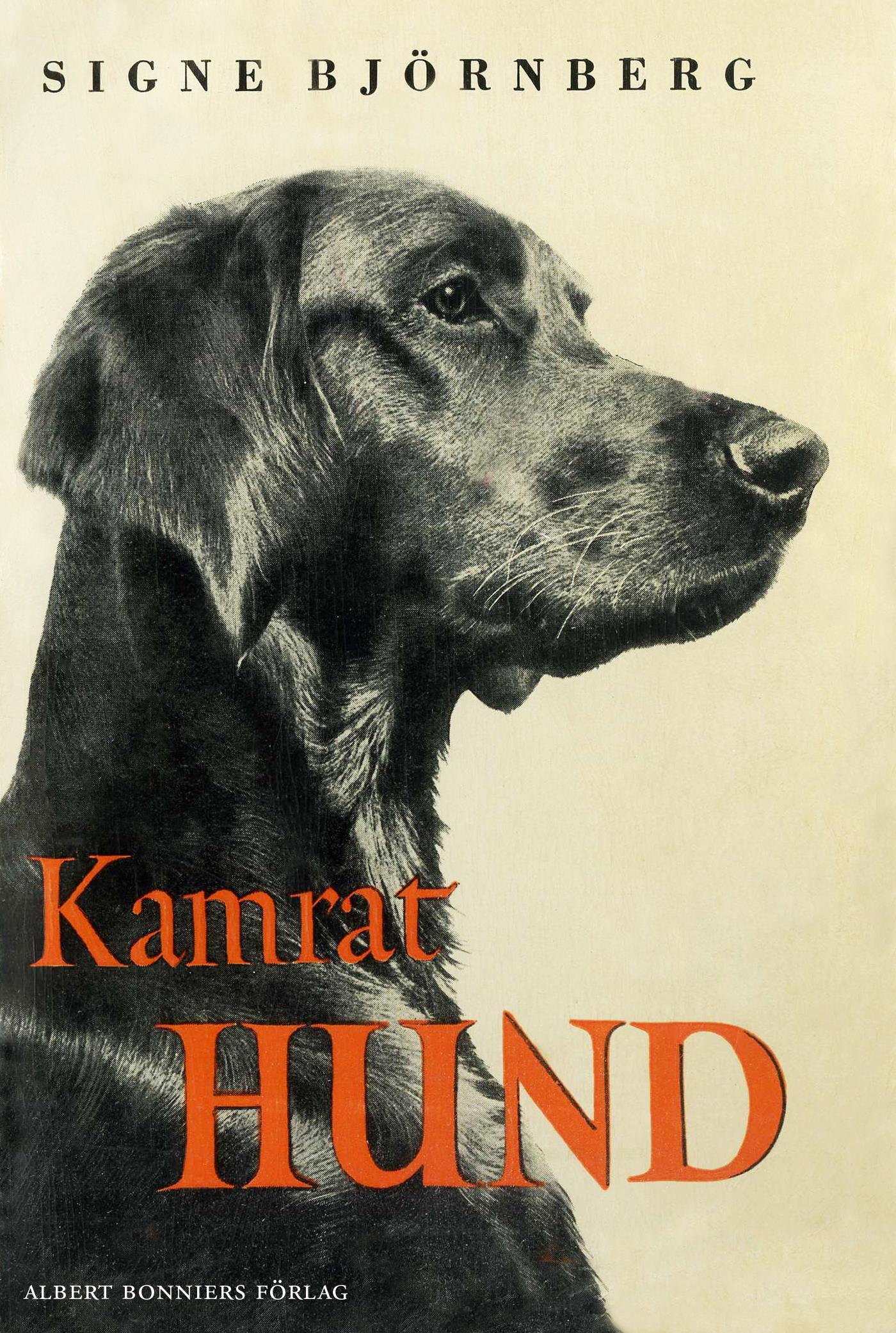 Kamrat hund – E-bok