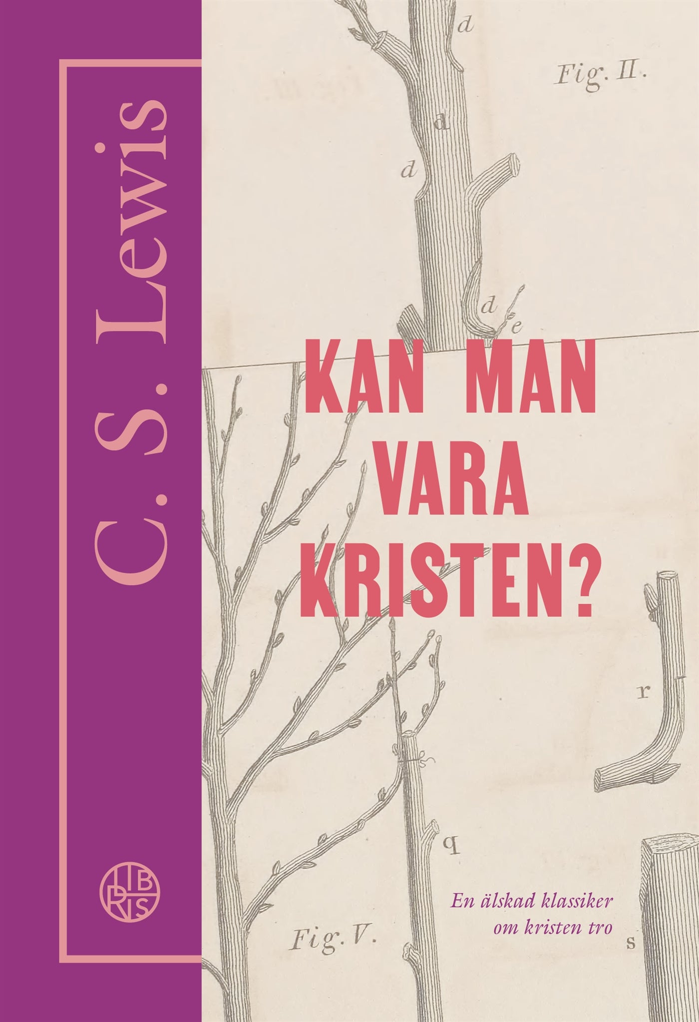 Kan man vara kristen? – E-bok