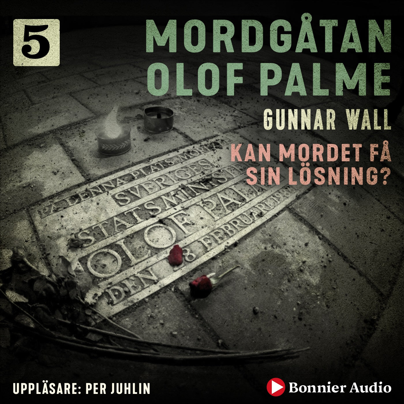 Kan mordet få sin lösning? – Ljudbok