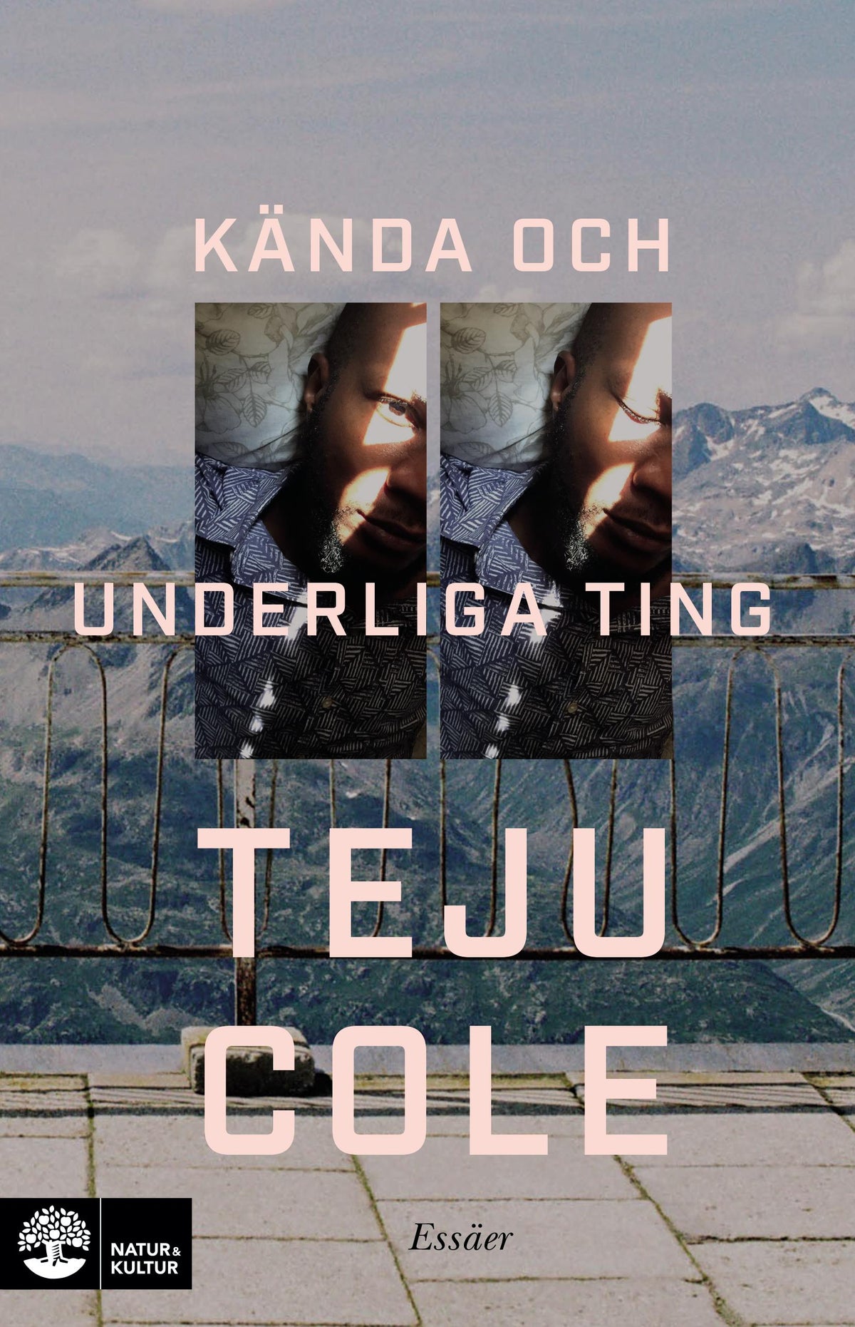 Kända och underliga ting : essäer – E-bok