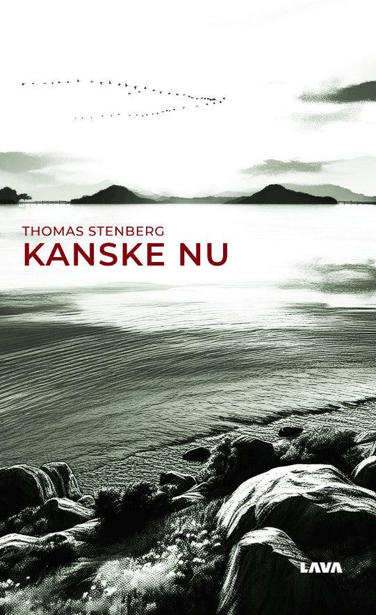 Kanske nu – E-bok