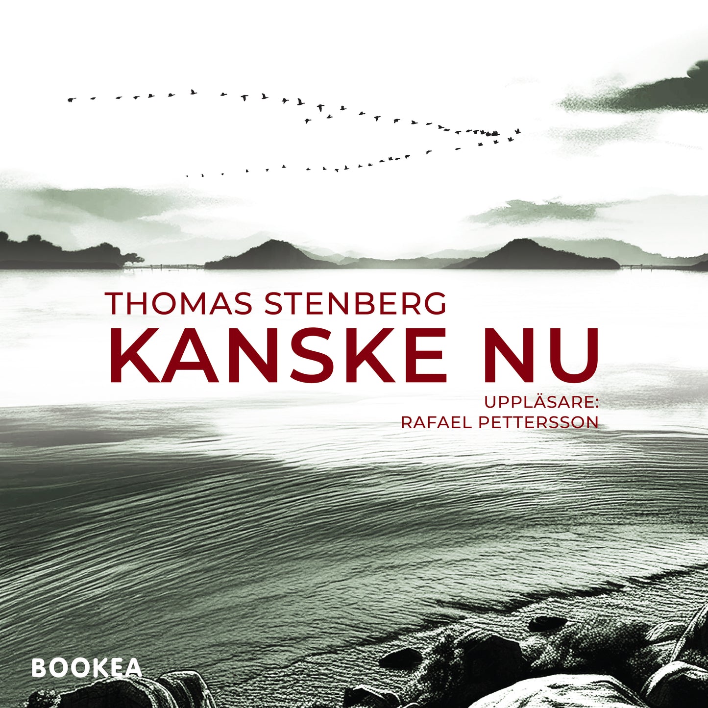 Kanske nu – Ljudbok